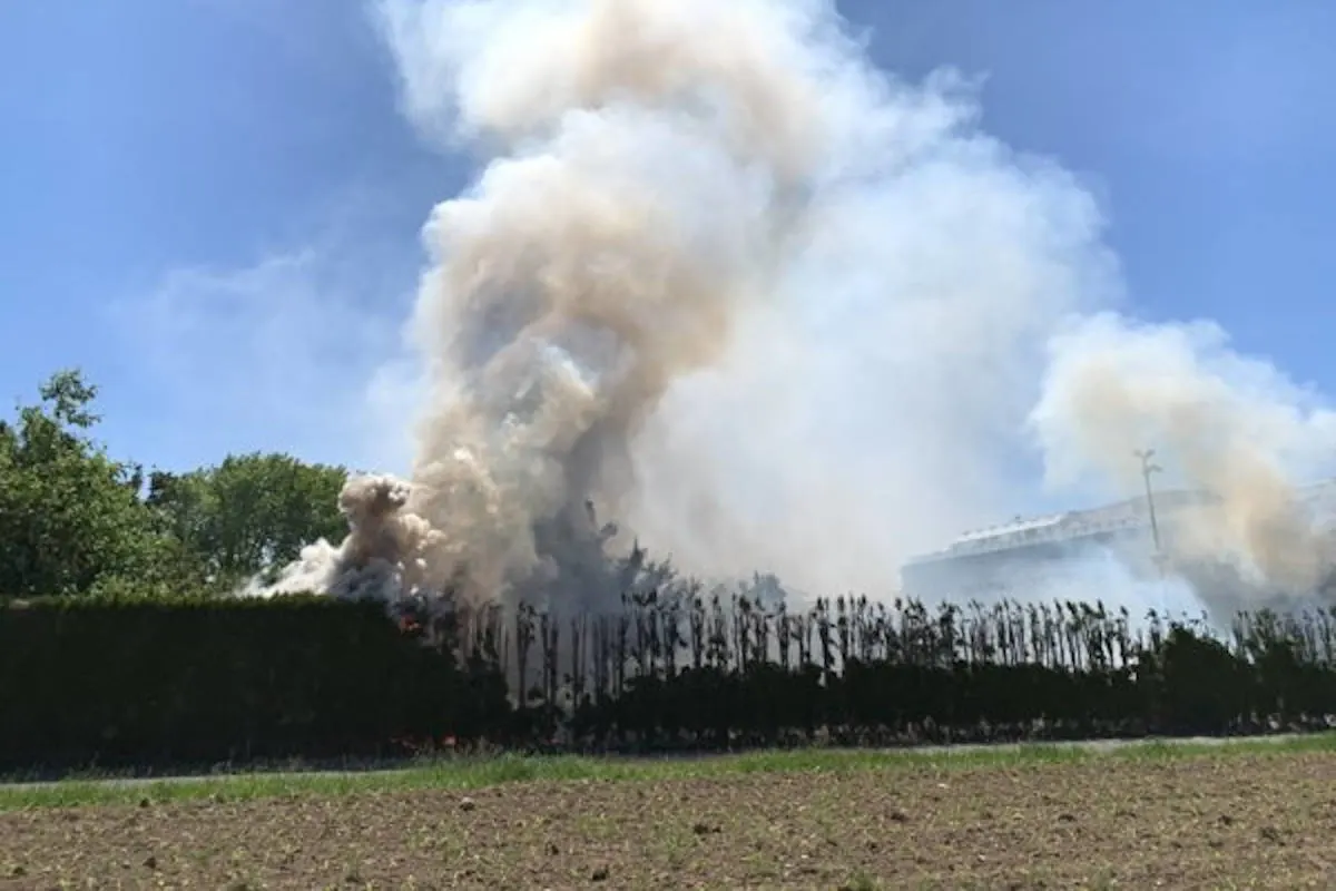 Uster ZH – In Brand geratene Hecke