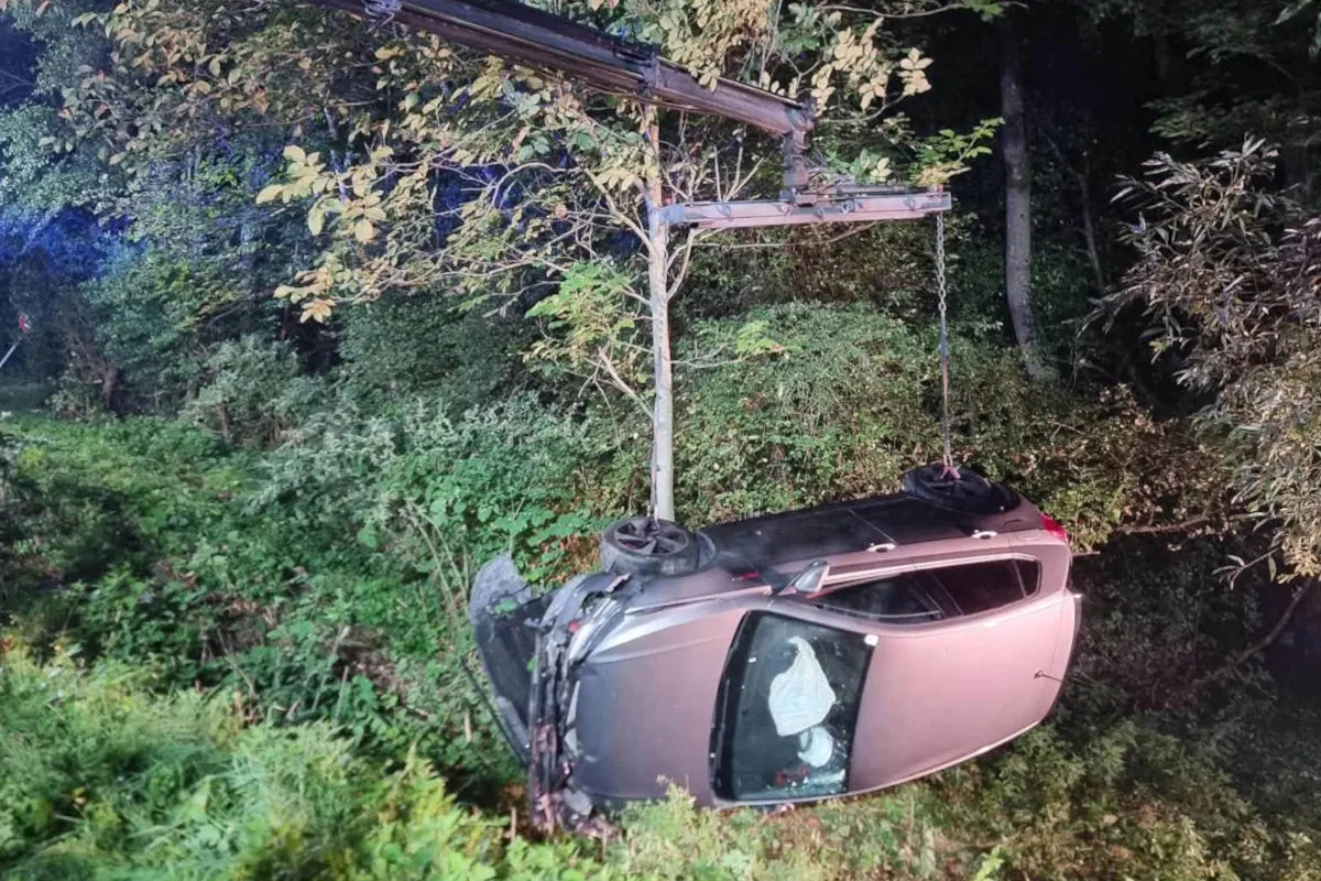 Ein Auto hängt kopfüber an einem Kran in einem Wald, umgeben von dichtem Grün. Die Szene findet nachts statt.