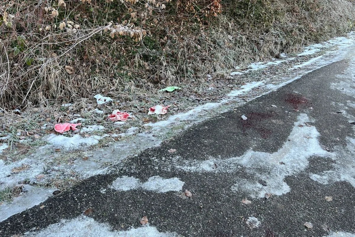 Seewen SO – Rätselhafte Blutlache – Polizei bittet um Hinweise