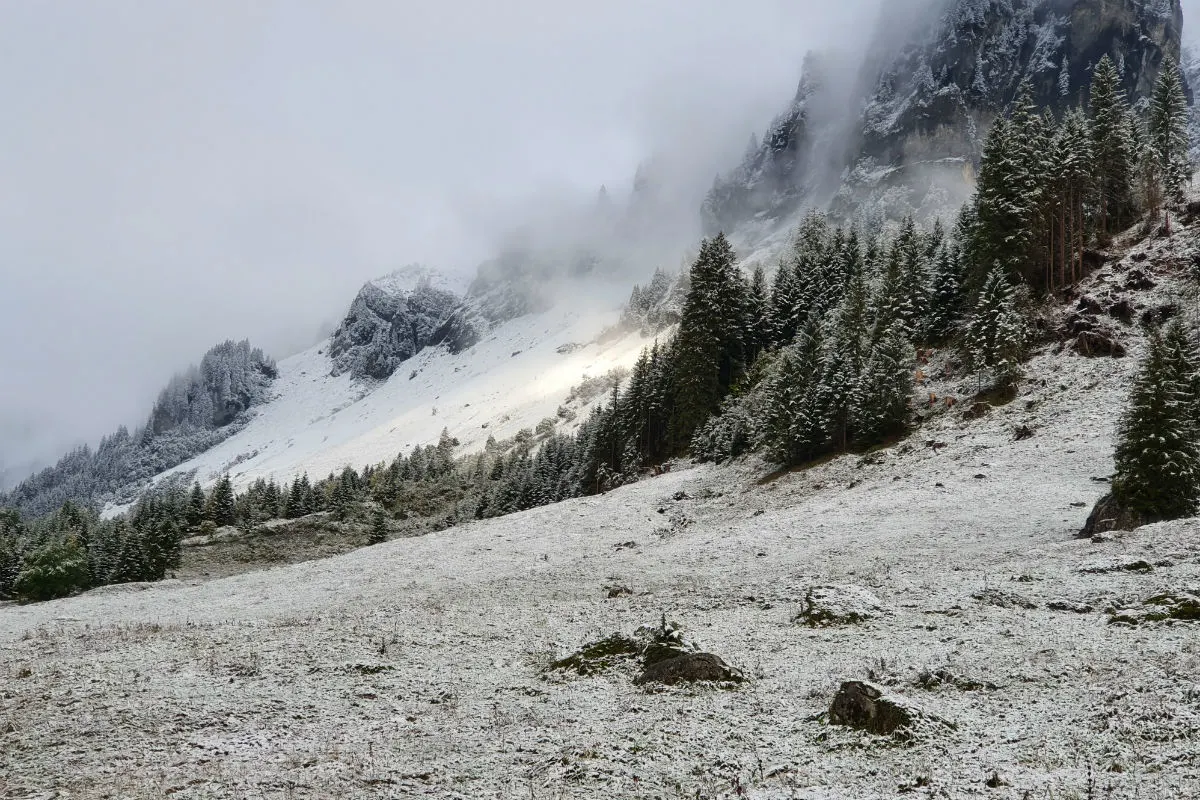 Ab heute Abend Schnee zum Teil bis 1200 Meter!