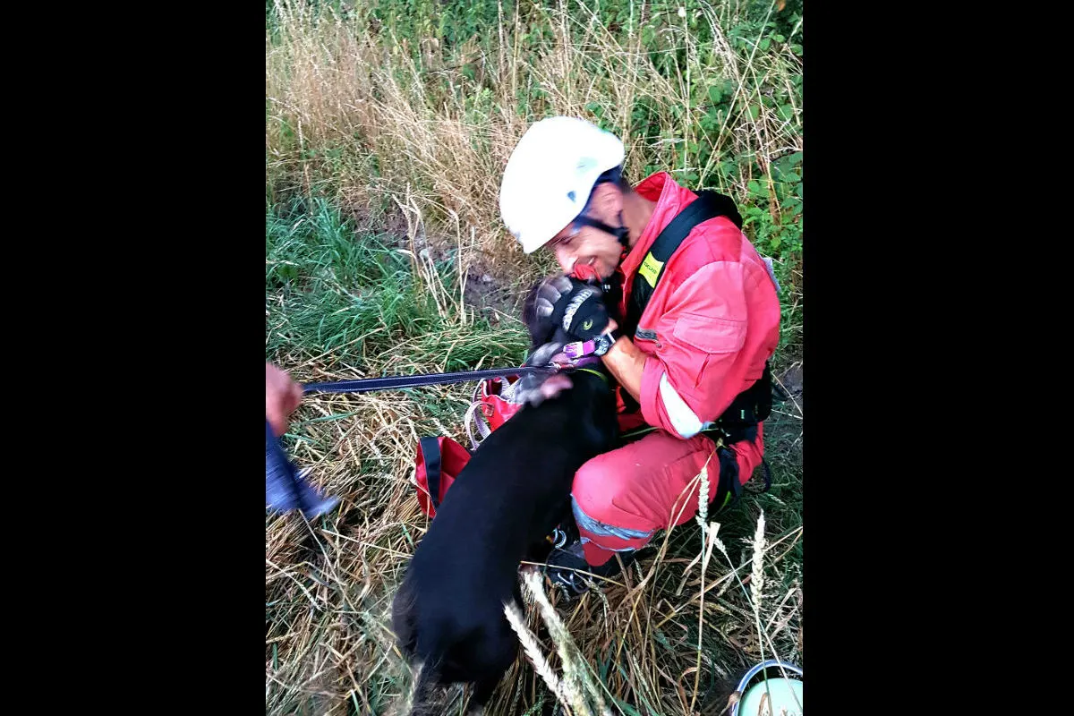 Essen NRW - Hund stürzt etwa 15 Meter in die Tiefe