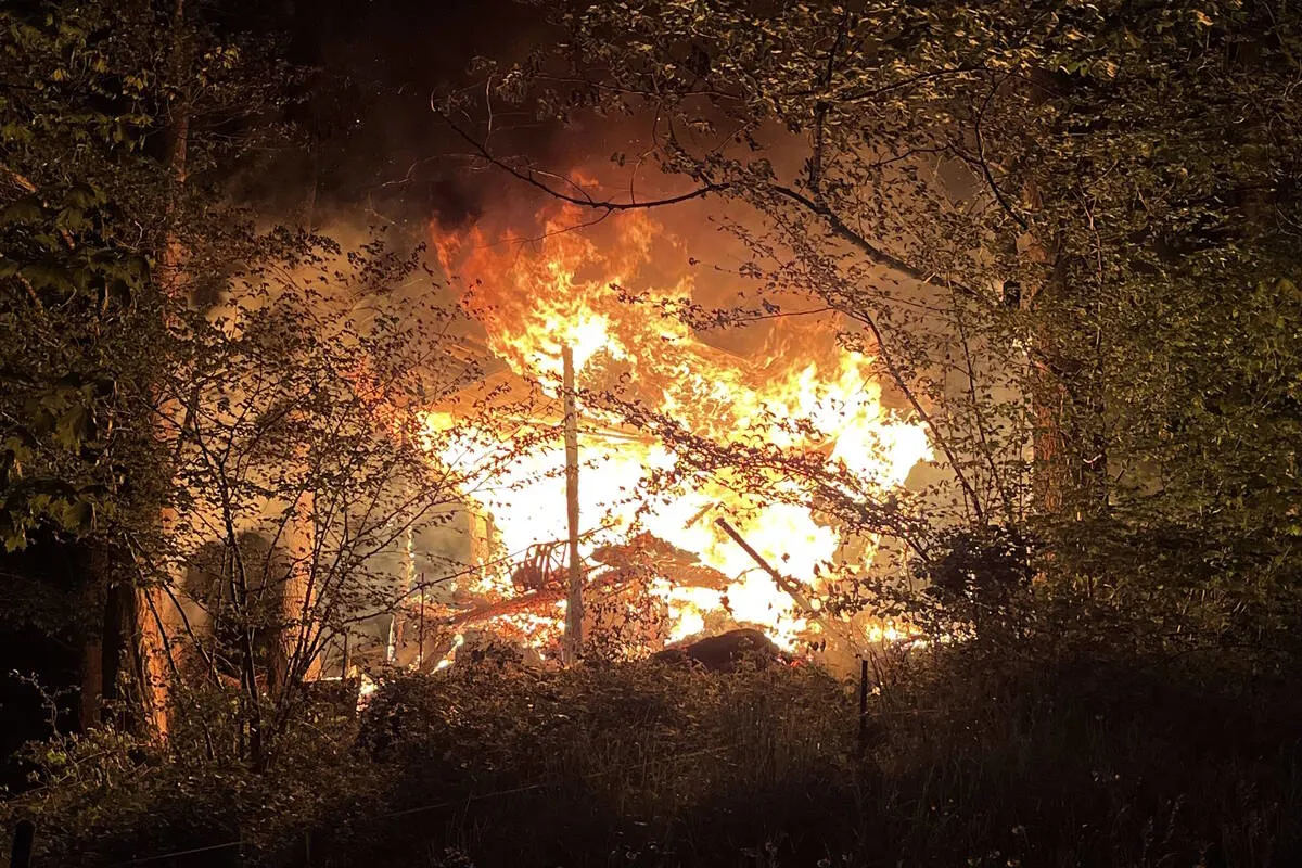 Unterstandbrand in einem Wald in Schänis SG