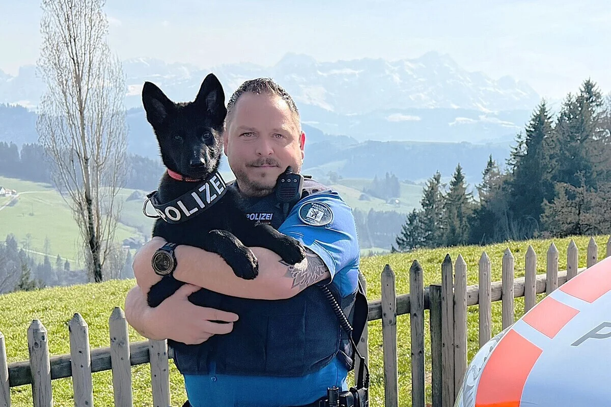 Junghund Vocs verstärkt Kantonspolizei Appenzell Ausserrhoden