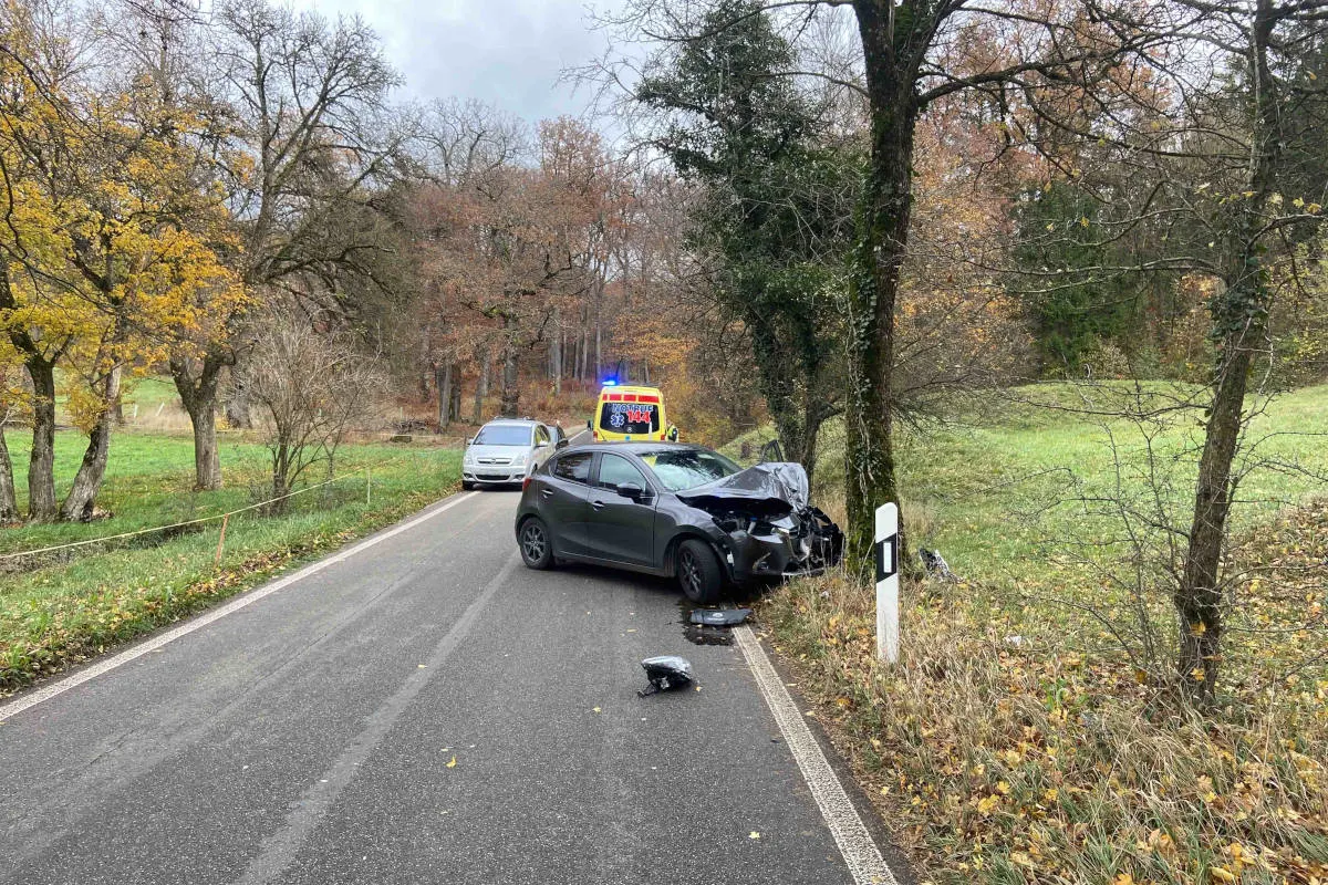 Erlinsbach AG – Lenkerin verliert Kontrolle über Fahrzeug und kollidiert mit Baum
