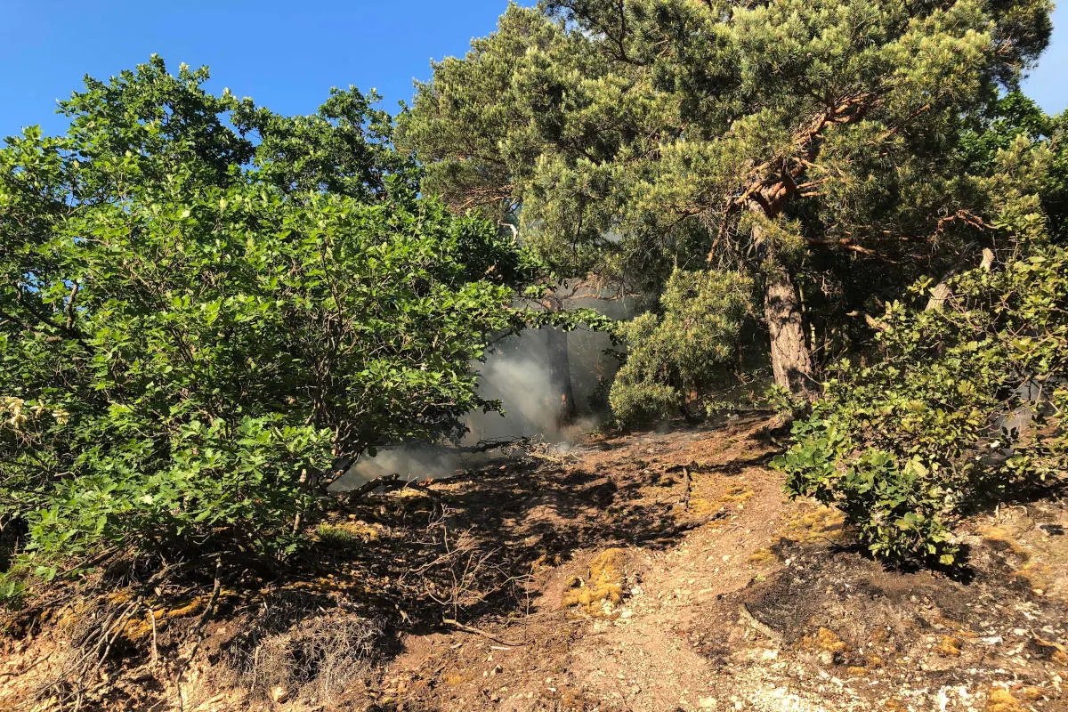 Bad Kreuznach – Vorsätzliche Brandlegung und Angriff auf Einsatzkräfte