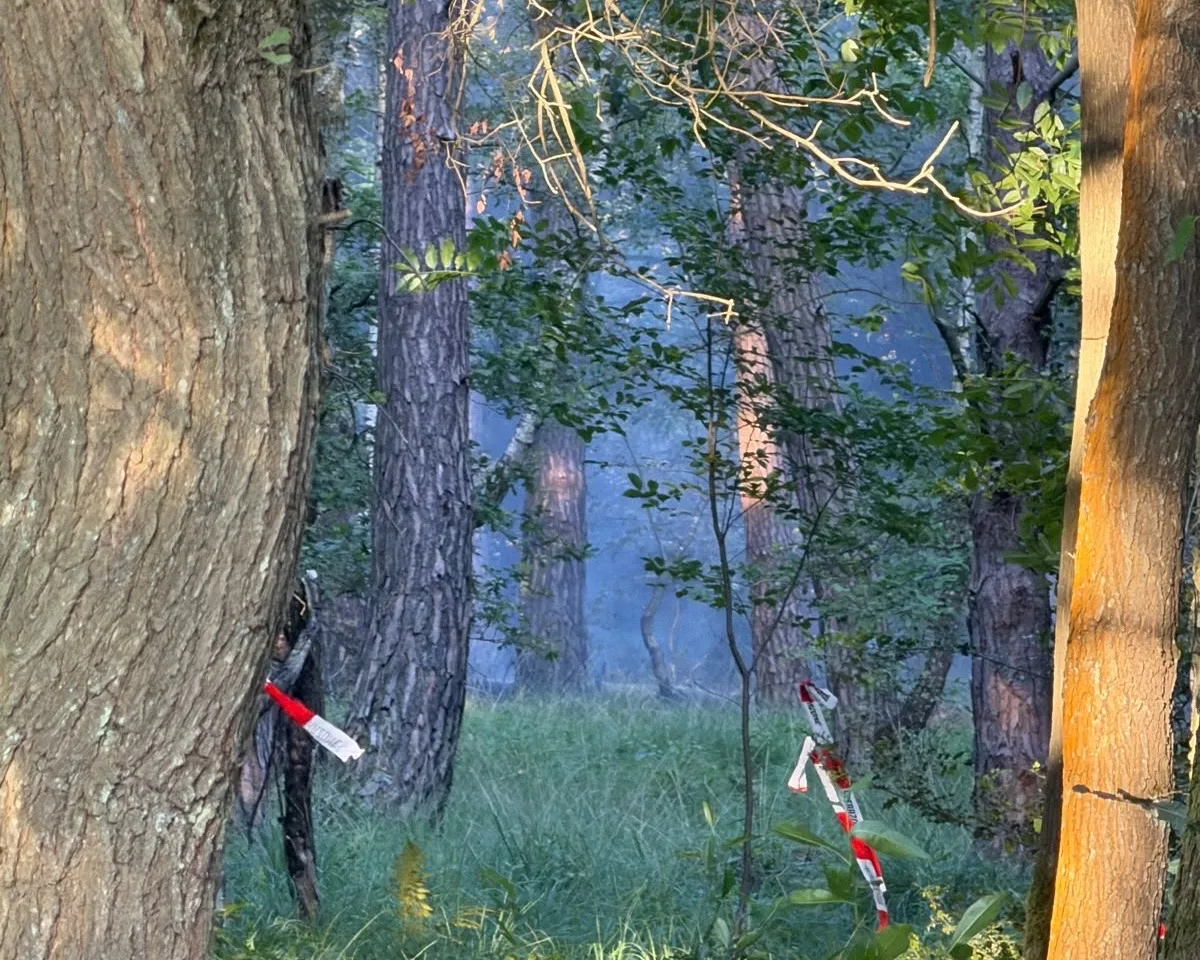Ein rot-weißes Absperrband ist zwischen Bäumen im Wald gespannt. Das Gelände wirkt ruhig und verlassen.
