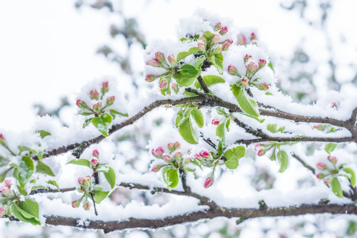 April, April - der macht, was er will!