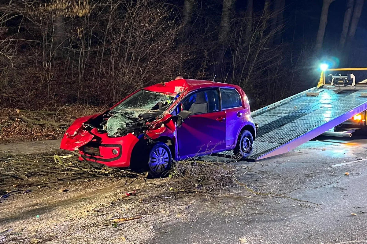 Mettmann – Glück im Unglück - Baum fällt auf Pkw