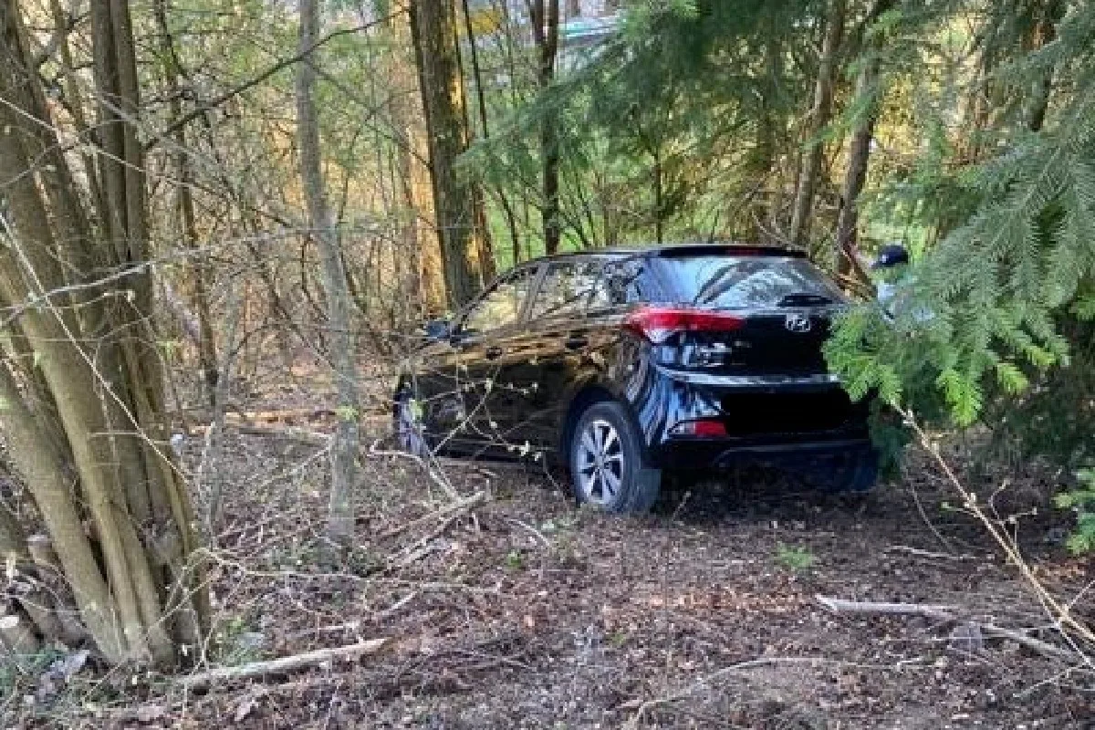 Neuhausen am Rheinfall SH - 18-Jährige verliert Kontrolle über Auto und prallt in Baum