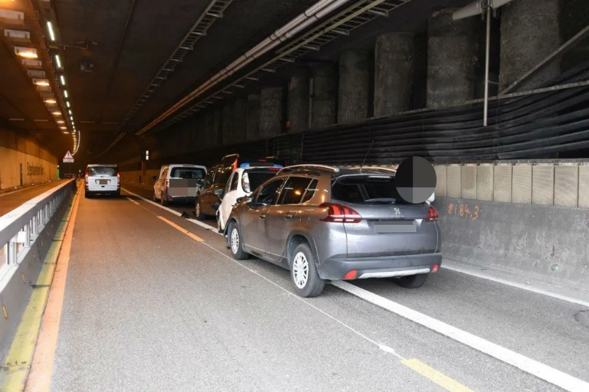 St. Gallen SG - Hund löst Unfall auf der Autobahn aus