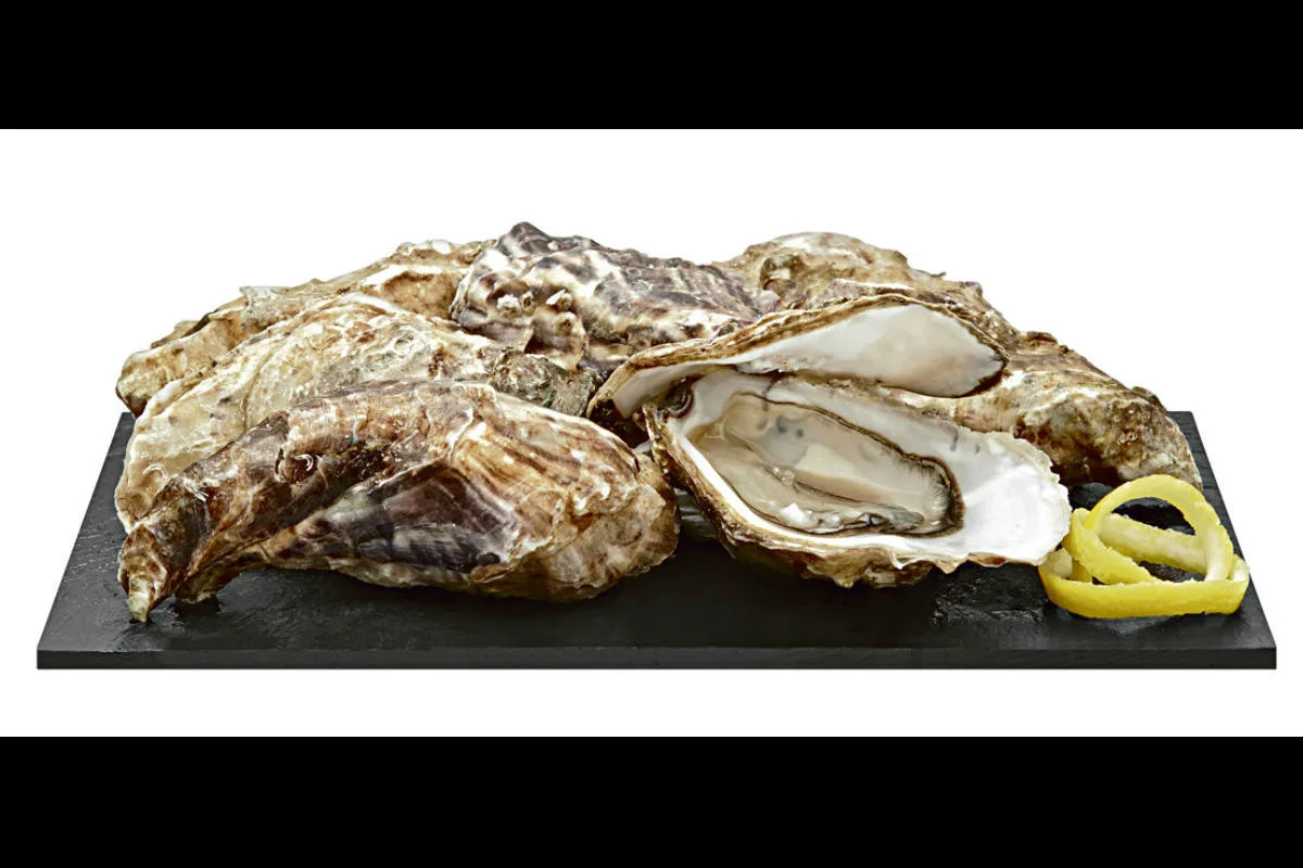 Rückruf von Austern "Bretagne Creuses speciale"