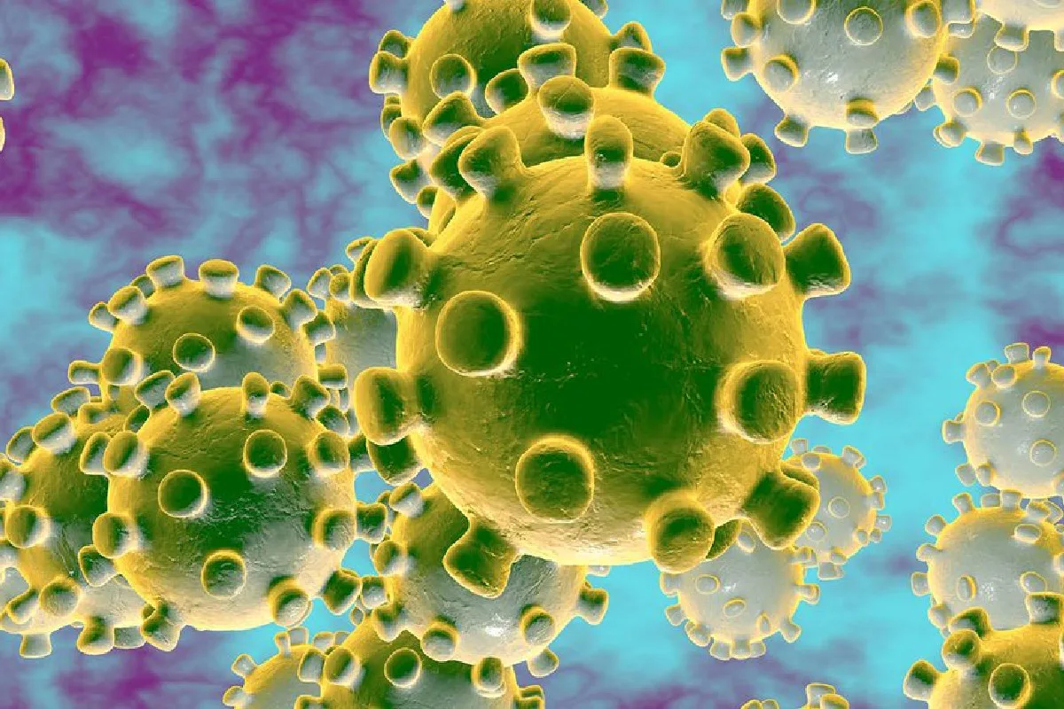 Zahlen zum Coronavirus - Lage in der Schweiz am 16. August 2020