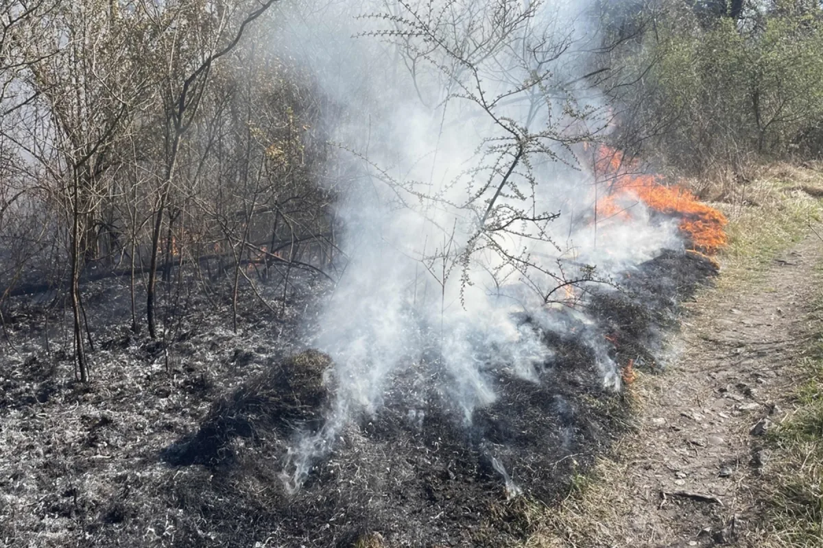 Zizers GR – Flurbrand an der Autobahn A13
