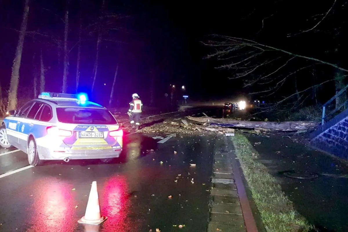 Odenthal – Umgestürzter Baum stoppt Mercedes