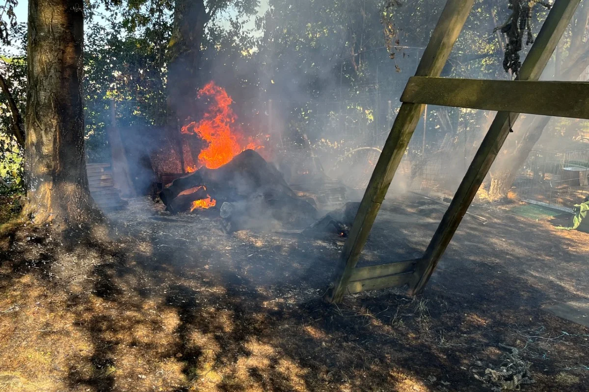 Amriswil TG - Garten gerät in Brand