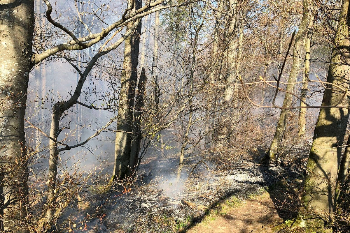 Balsthal SO – Waldstück in Brand geraten – Zeugenaufruf