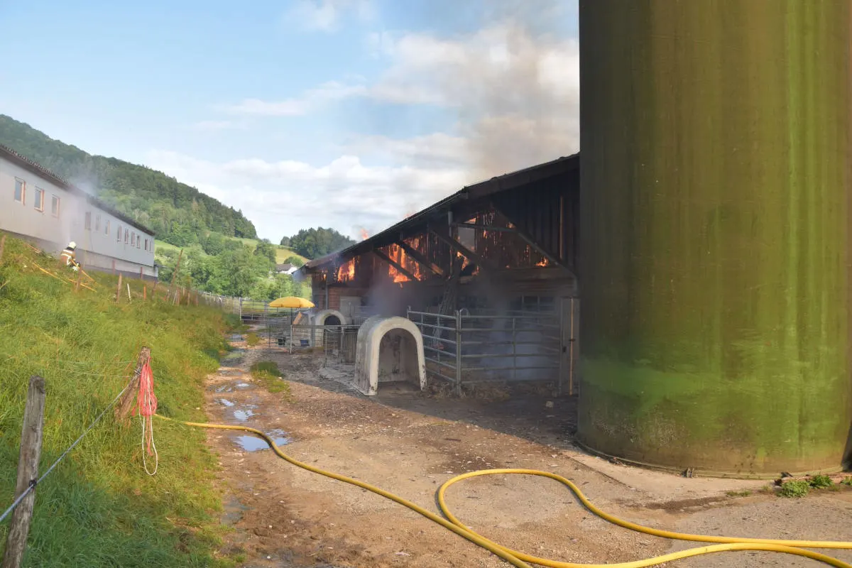 Kleinlützel SO - Defektes Stromkabel ist Ursache für Brand in Oekonomiegebäudes