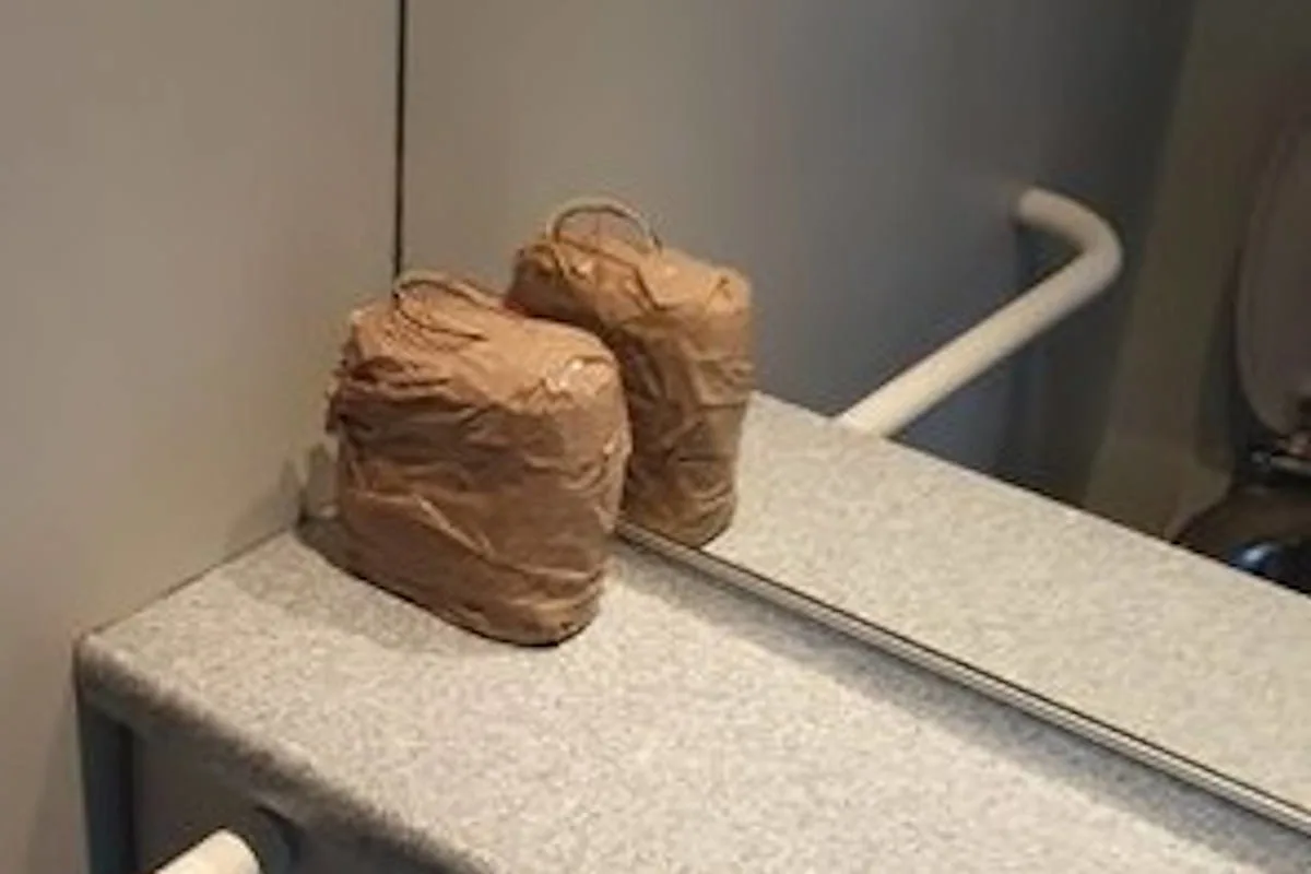 Frankfurt am Main - Verdächtiges Päckchen in der Regionalbahn