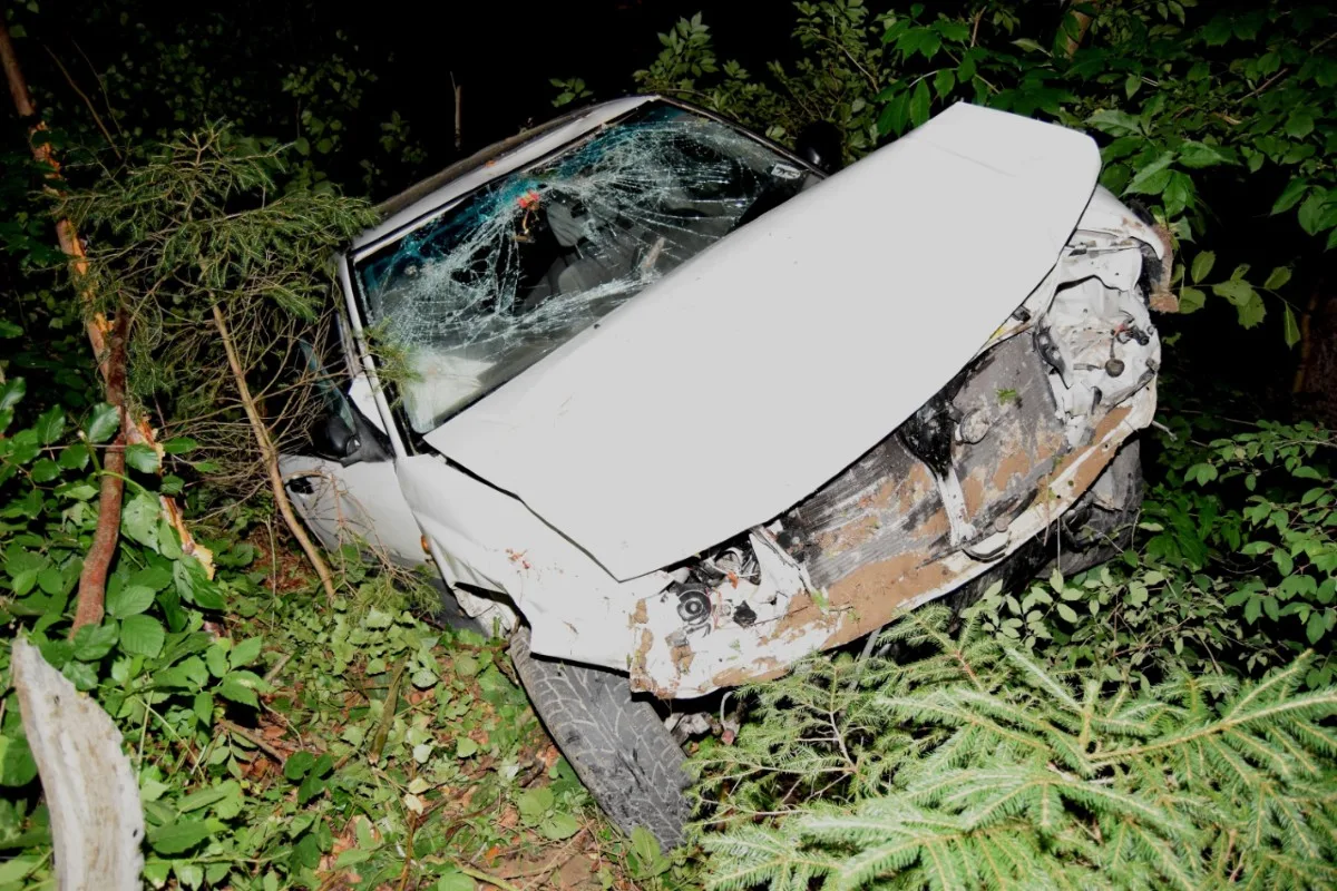 Totalschaden in Wolfhalden AR - Autolenker verliert Kontrolle über Auto und verunfallt im Bachbett