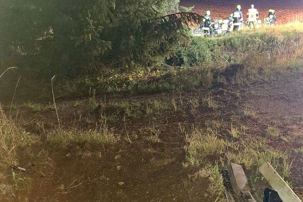 Mehrere Einsatzkräfte stehen in reflektierender Kleidung am Waldrand, während die Umgebung dunkel ist.