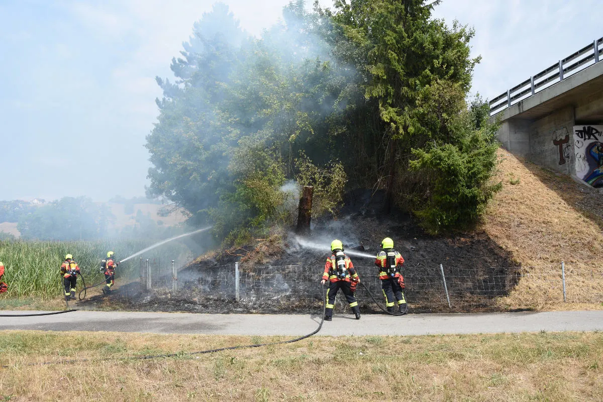 Schmerikon SG - Brand einer Böschung