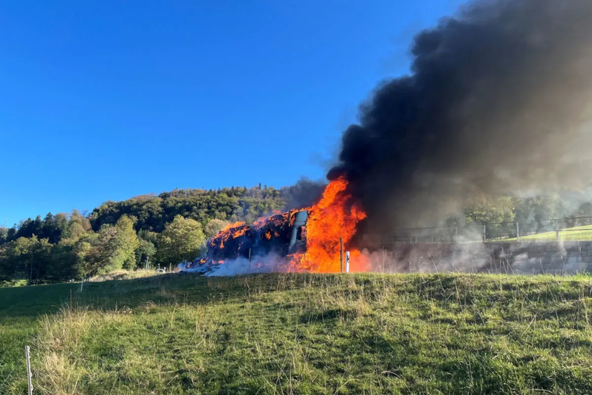 Ein Lastwagen steht in Flammen auf einer Wiese, mit dichten schwarzen Rauchwolken, umgeben von Wald und klarem Himmel.
