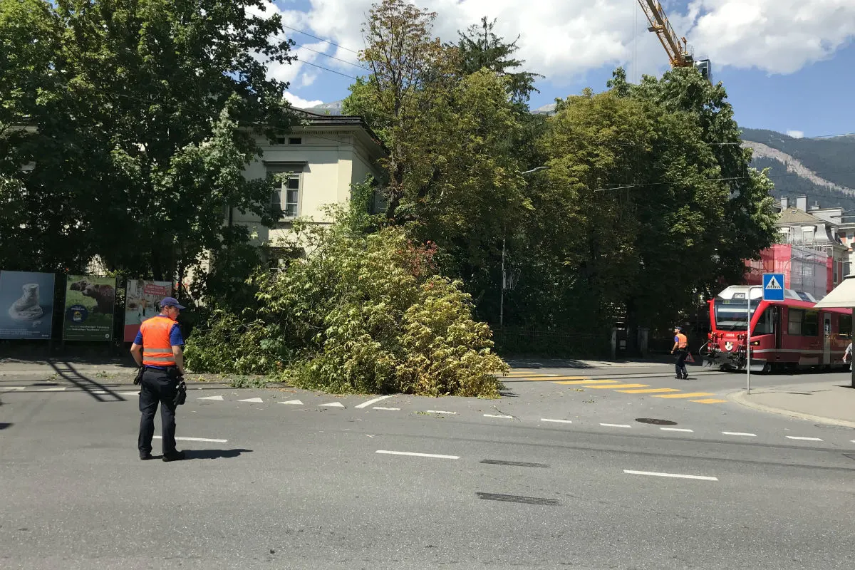Chur GR - Baum stürzt auf Strasse