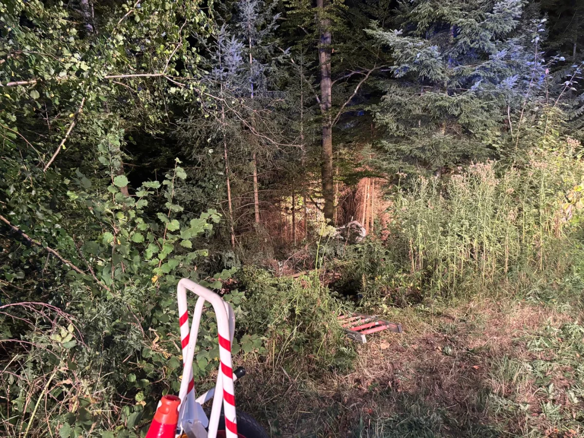 Die Feuerwehr schlug eine Schneise durch den Wald.