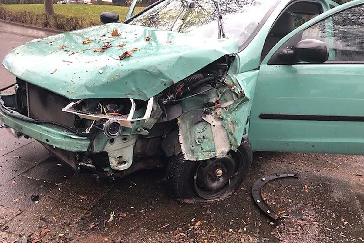 Landau - Mit fast 4 Promille gegen Baum geprallt!