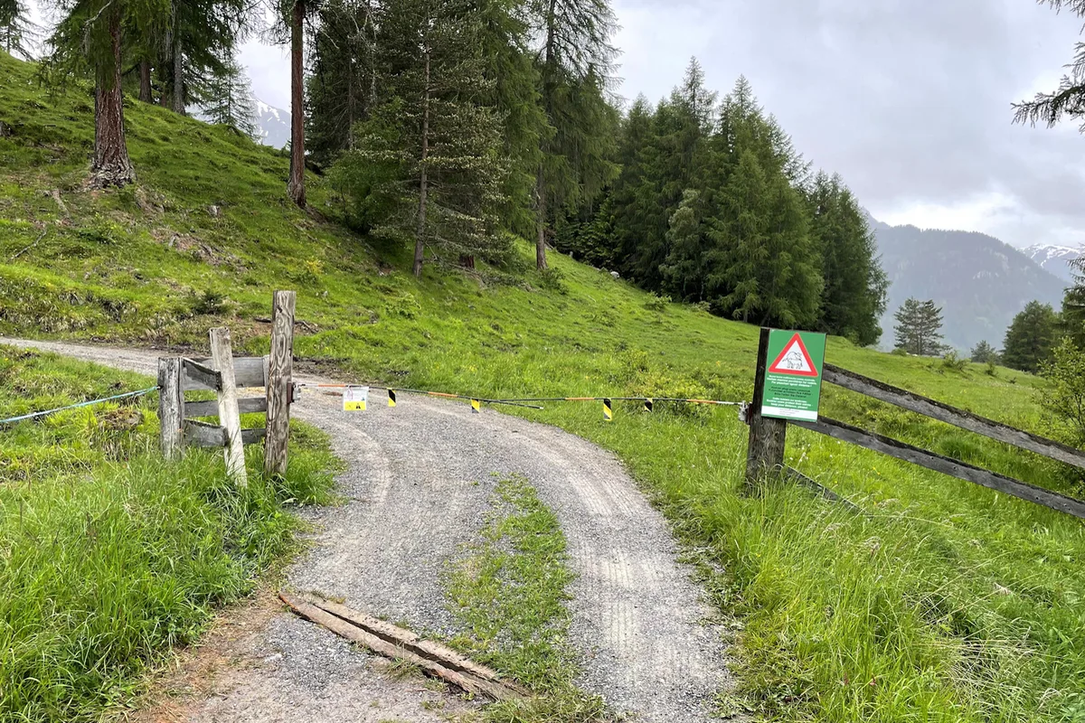 Tarasp GR - Kuhherde verletzt Frau schwer