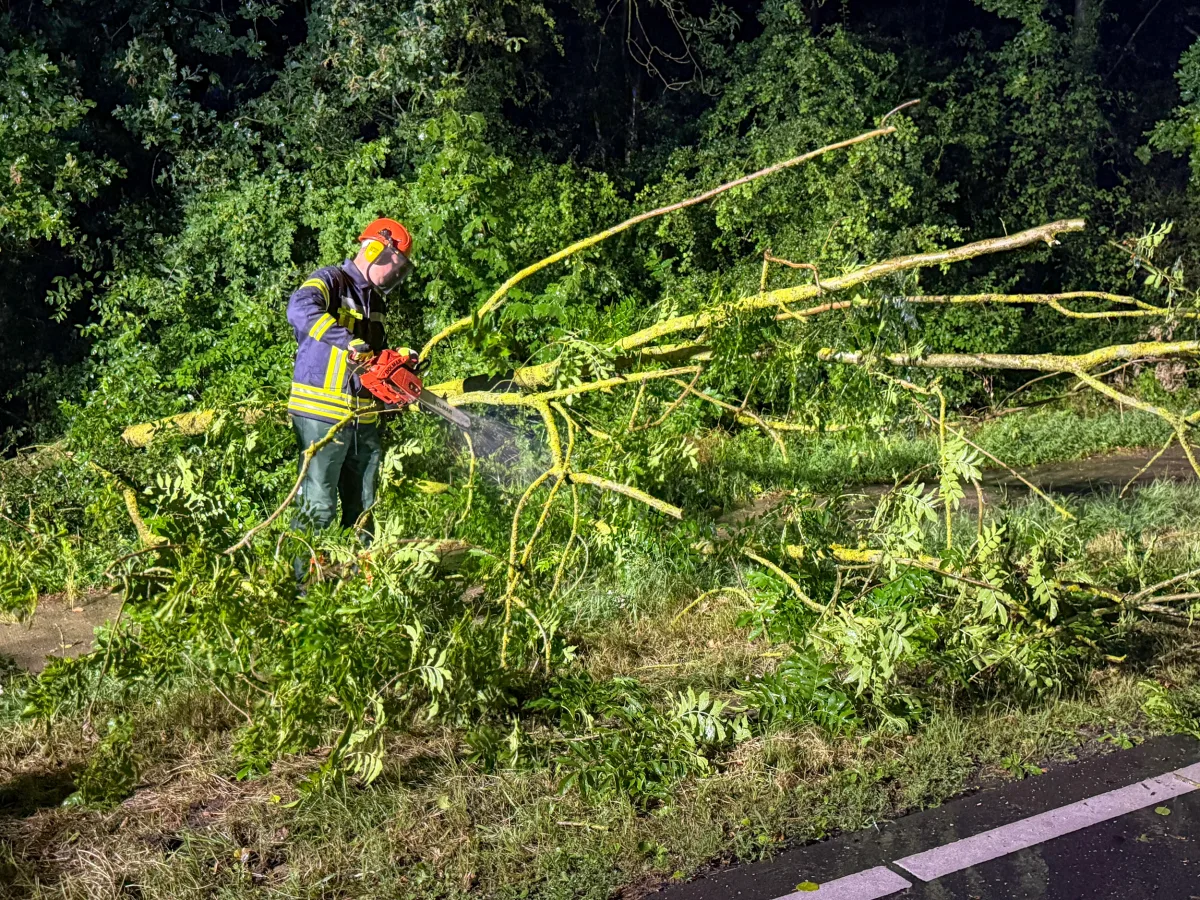 Ein Feuerwehrmann in Schutzkleidung und Helm schneidet nachts mit einer Kettensäge Äste eines umgestürzten Baumes. Der Baum liegt auf einer Straße, umgeben von dichtem Laubwald.