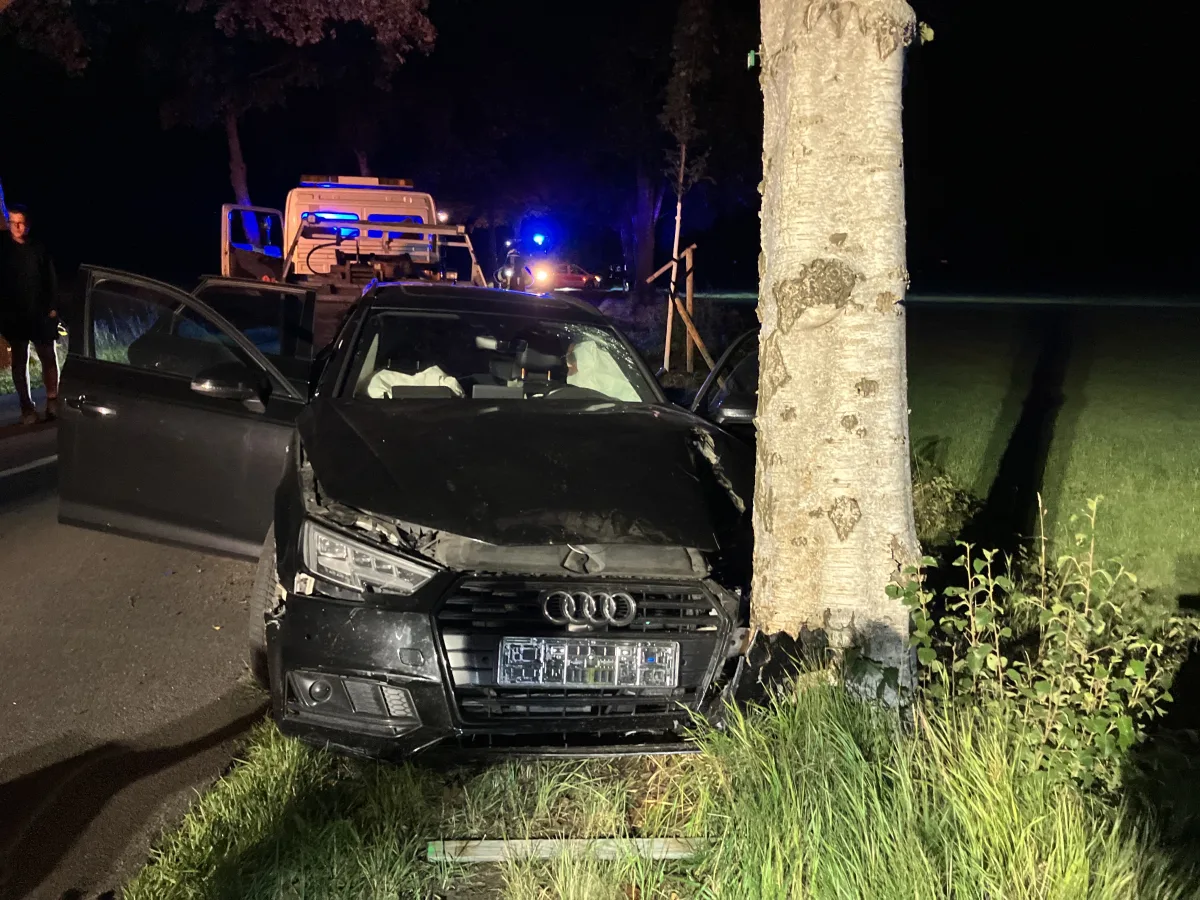 Das Bild zeigt einen schwarzen Audi, der frontal gegen einen Baum gefahren ist. Die Stoßstange ist stark beschädigt, und die Airbags sind ausgelöst.