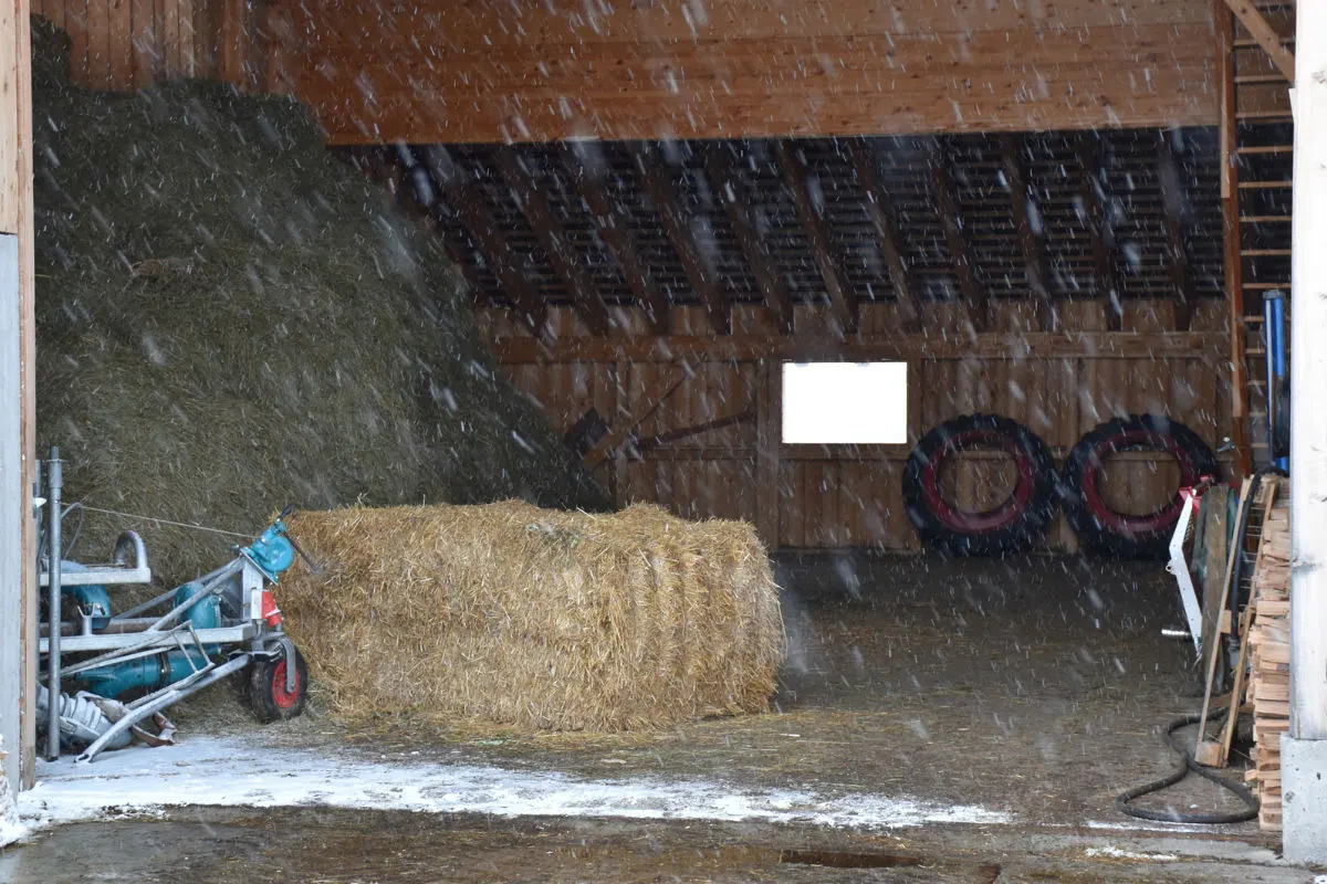 Avers Cresta GR - Landwirt nach Unfall verstorben