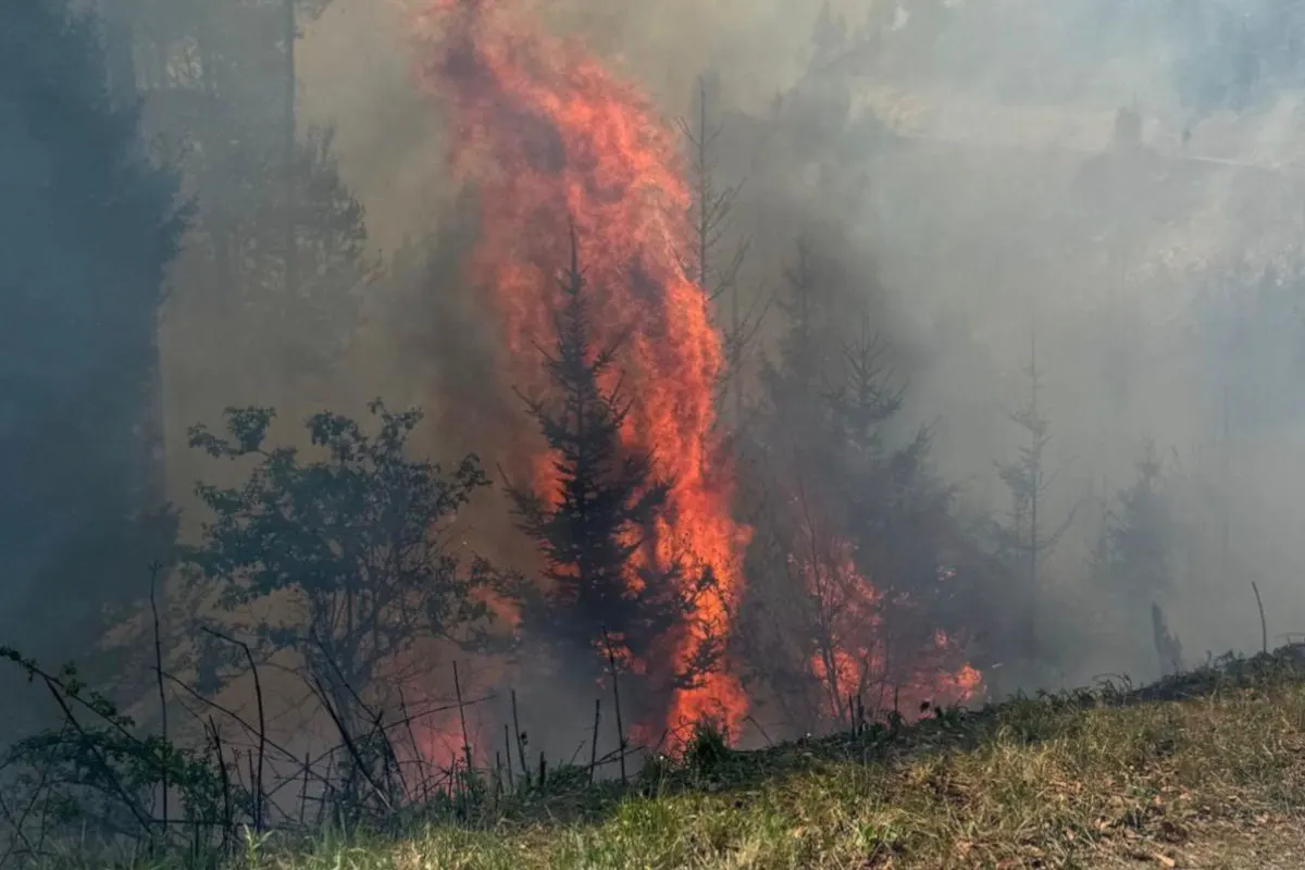 Eisbach-Rain – 160 Feuerwehrleute wegen Waldbrand im Einsatz