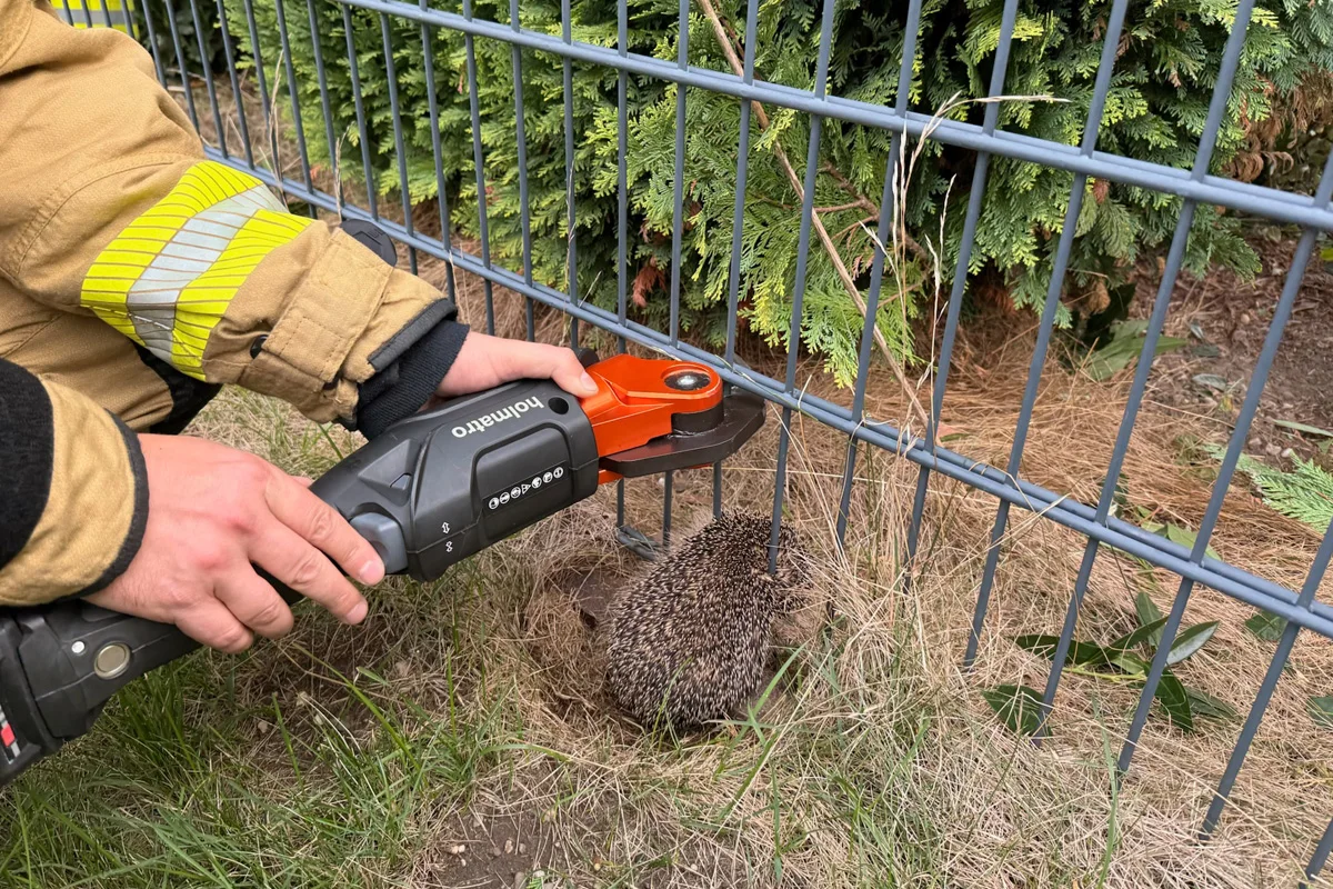Alpen NW – Feuerwehr rettet Igel aus Zaun