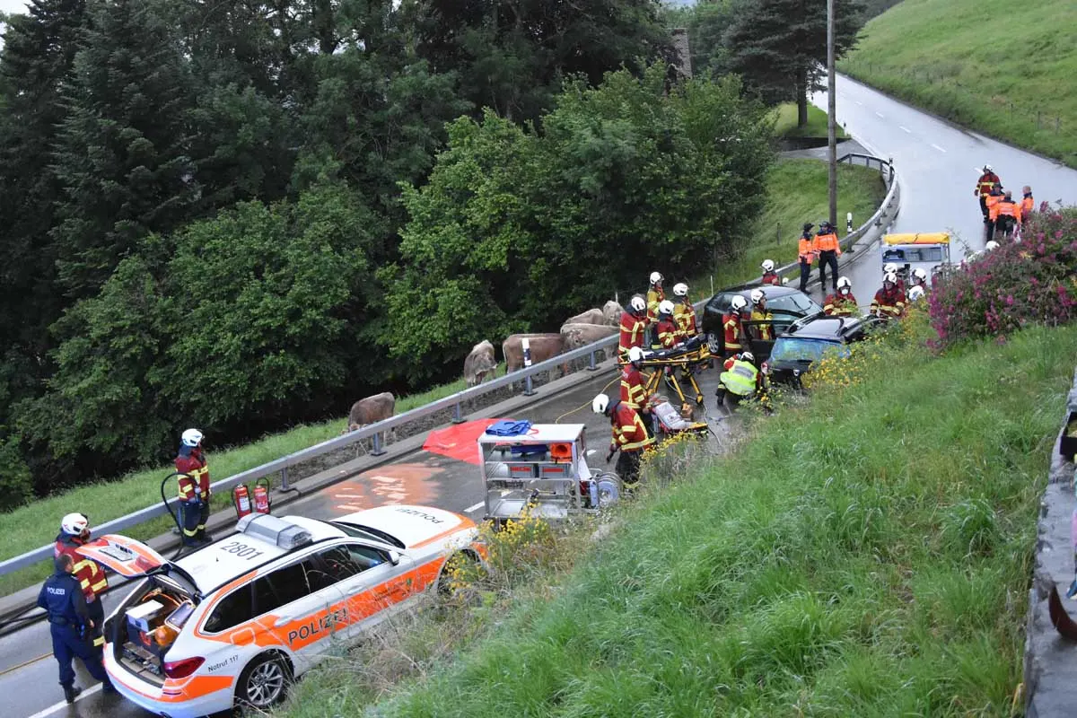 Altstätten SG - 19-Jähriger geriet auf Gegenfahrbahn und krachte frontal in PKW - Mehrere Verletzte!