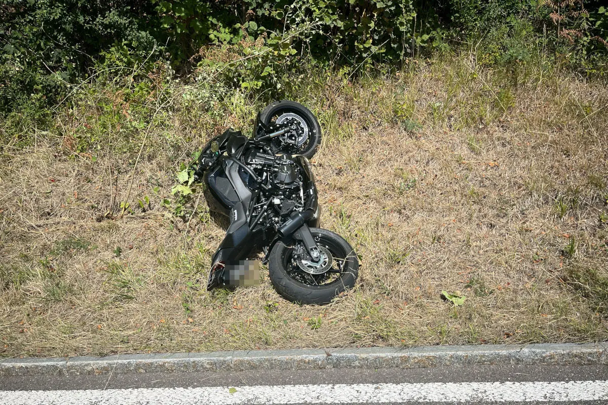 Ein schwarzes Motorrad liegt beschädigt am Straßenrand im Gras, umgeben von Büschen und trockenem Laub.