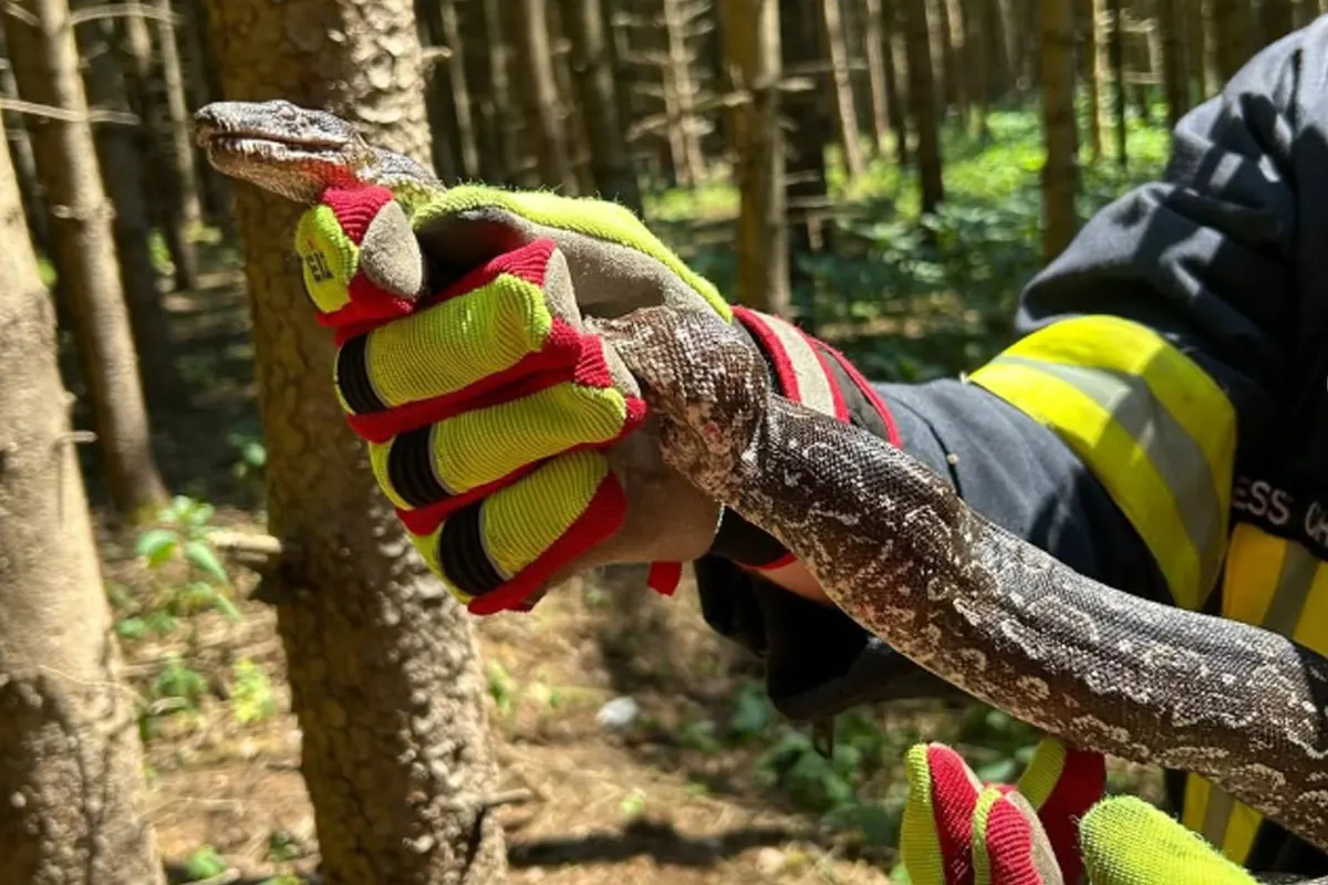 Waal BY – Feuerwehr rettet ausgesetzte Schlange