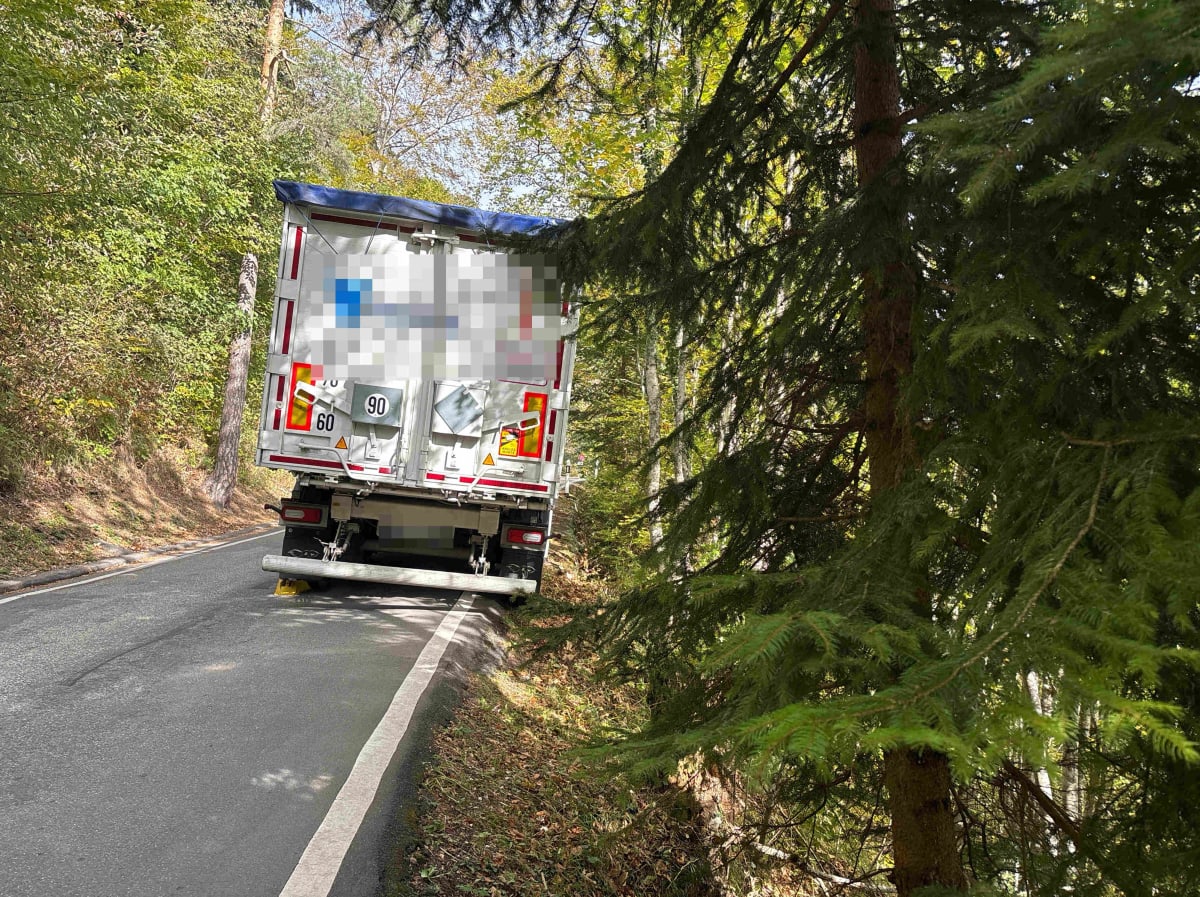 Ein Lkw blockiert teilweise eine enge Landstraße, umgeben von dichtem Wald. Der Lkw ist auf der rechten Seite am Rand abgestellt.