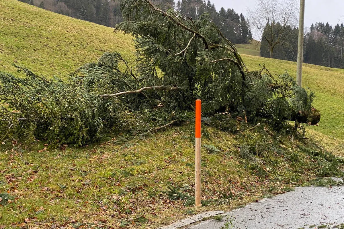 Kanton Zürich - Sturm "Sabine" beschäftigt Rettungskräfte weiterhin