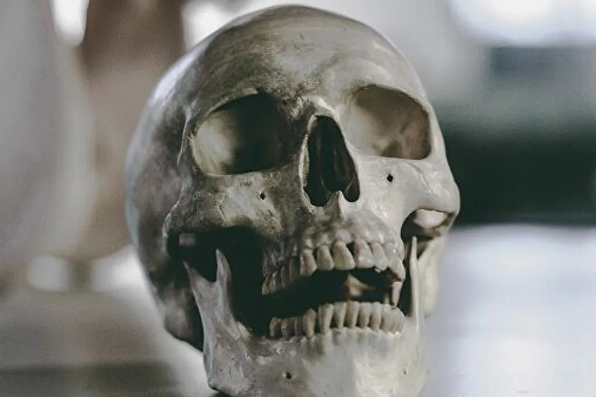 Leibnitz - Skelettierte Leiche gefunden