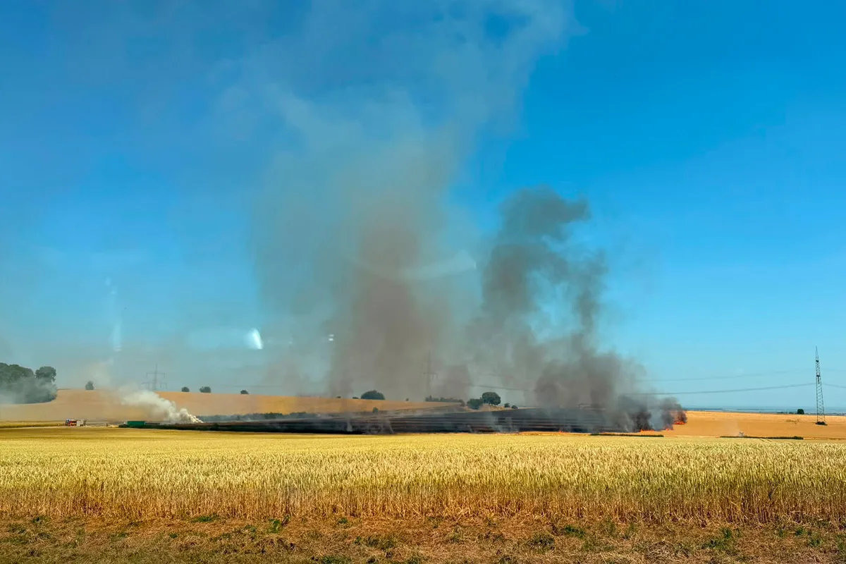 Im Vordergrund ein gelbes Getreidefeld, dahinter Rauch und Flammen auf einem brennenden Feld.
