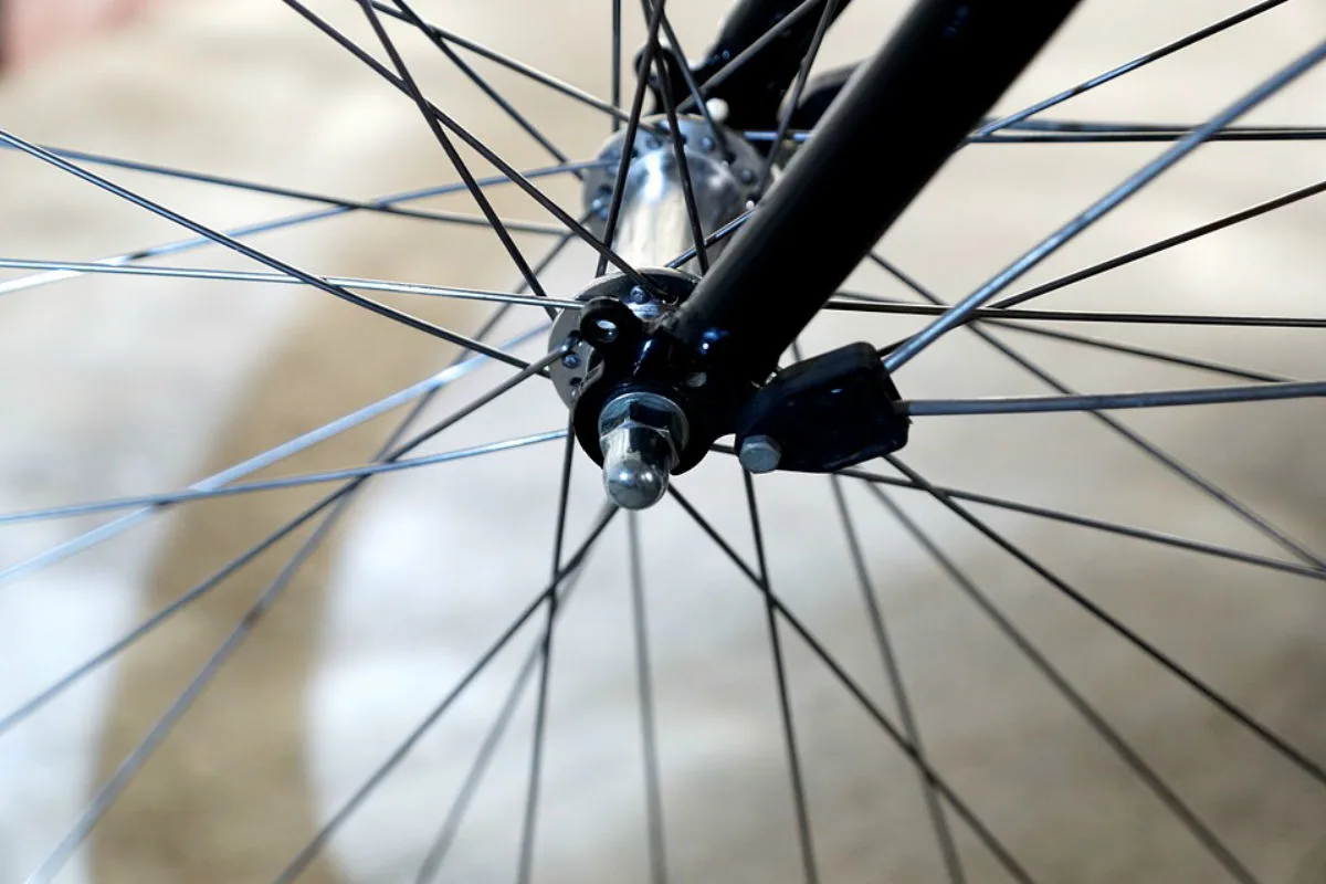 Immendingen - Hund läuft vor Fahrrad