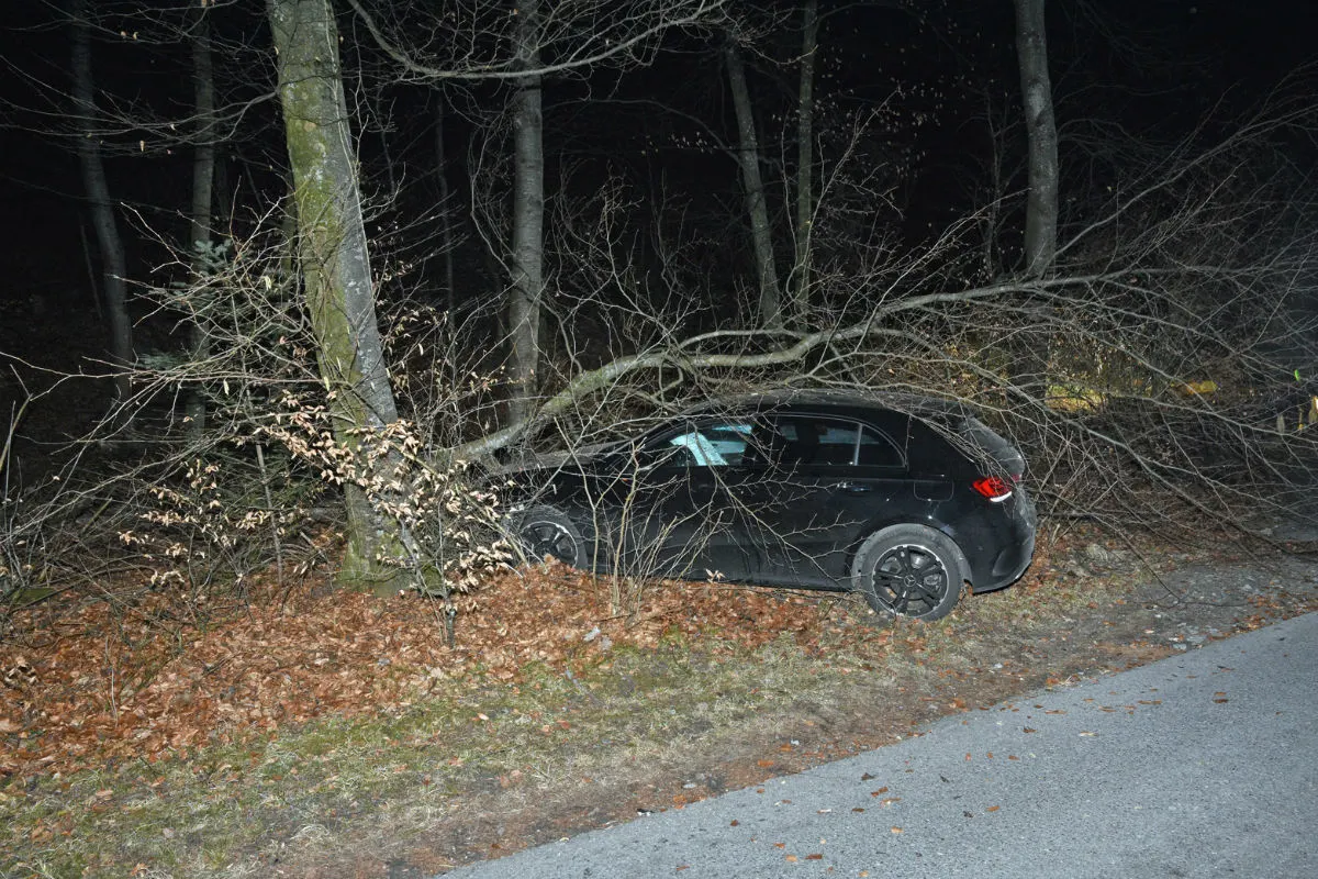 Liechtenstein FL - Mehrere Verkehrsunfälle – ein Verletzter