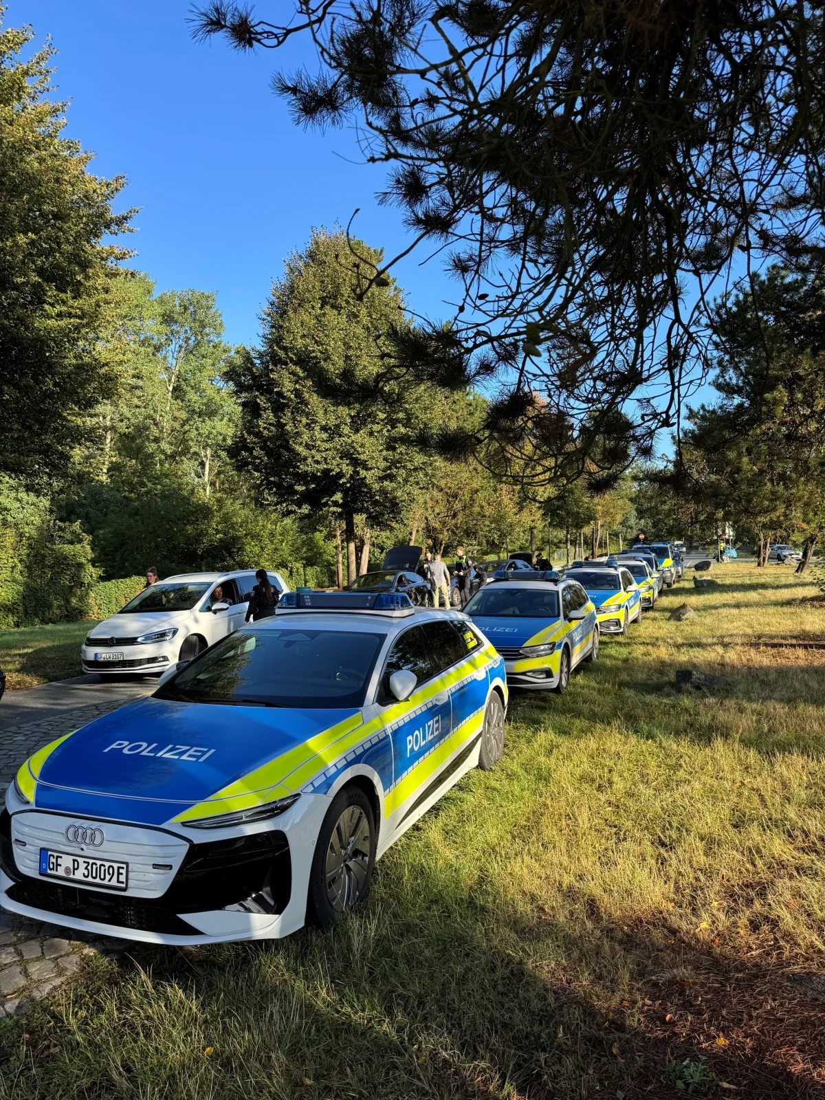 Eine Reihe von Polizeiautos steht geparkt auf einem Waldweg. Es sind mehrere Fahrzeuge, und es ist Tag.