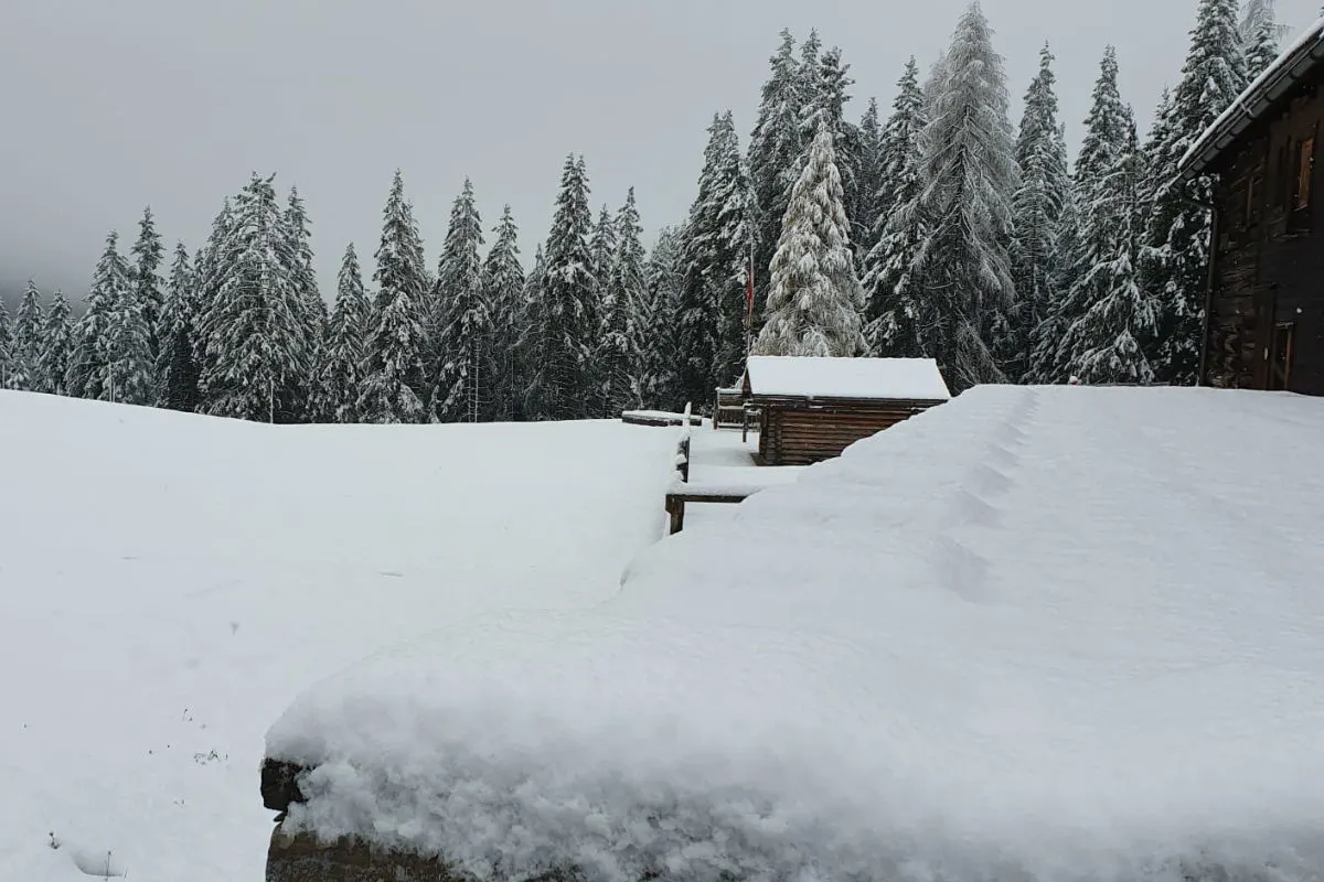 Schneefall bis fast ins Flachland aufs Wochenende!
