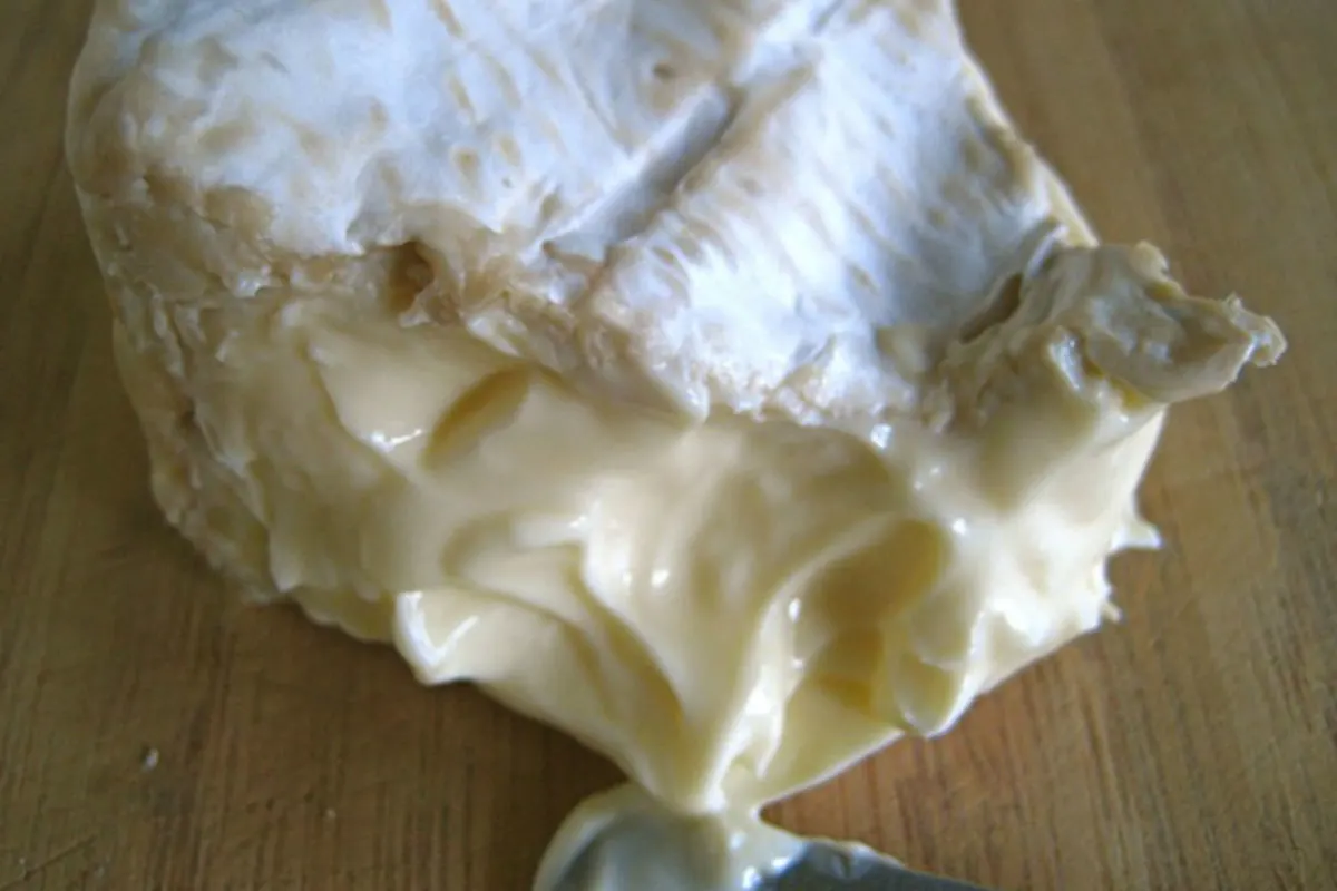 Warnung - Listerien in Weichkäse Brillat Savarin