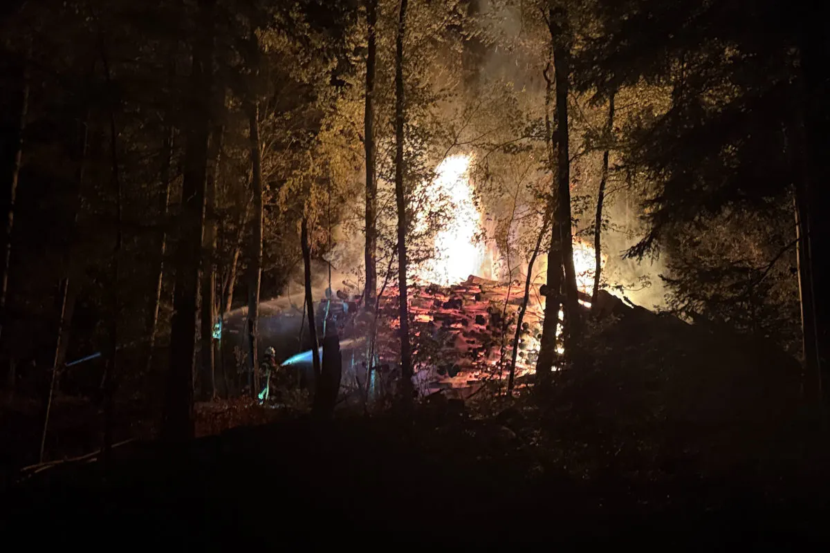 In einem Waldstück brennt es nachts stark; Feuerwehrleute bekämpfen die Flammen im Hintergrund, beleuchtet von weißen und blauen Lichtquellen.