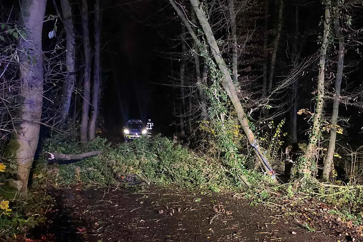 Haan - Zwölfjähriger unter 25 Meter langen Baum eingeklemmt und lebensgefährlich verletzt