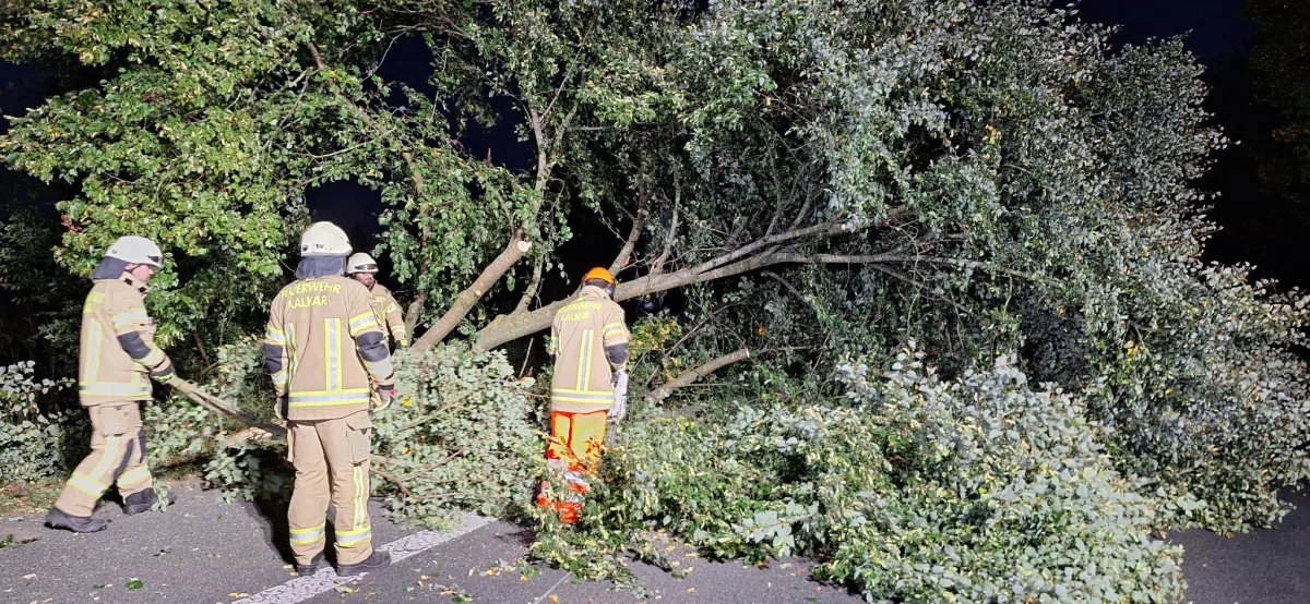 Mehrere Feuerwehrleute der Feuerwehr Kalkar arbeiten nachts daran, große Baumäste von einer Straße zu entfernen. Ein Baum ist umgestürzt und blockiert die Fahrbahn.